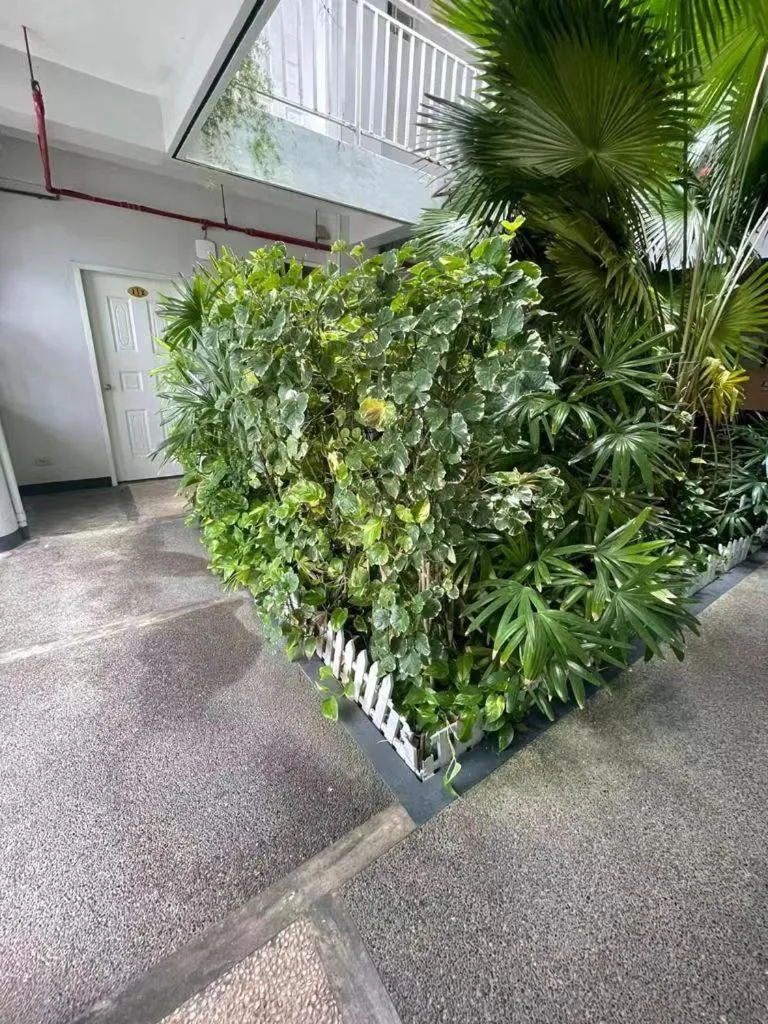 Garden in Capital Hotel