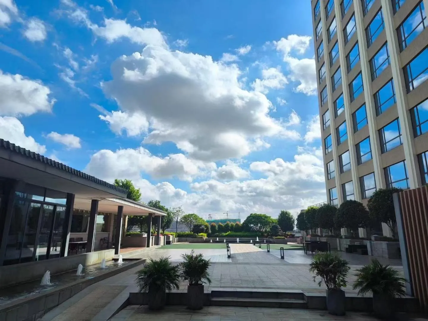 Garden in Rising Dragon International Hotel