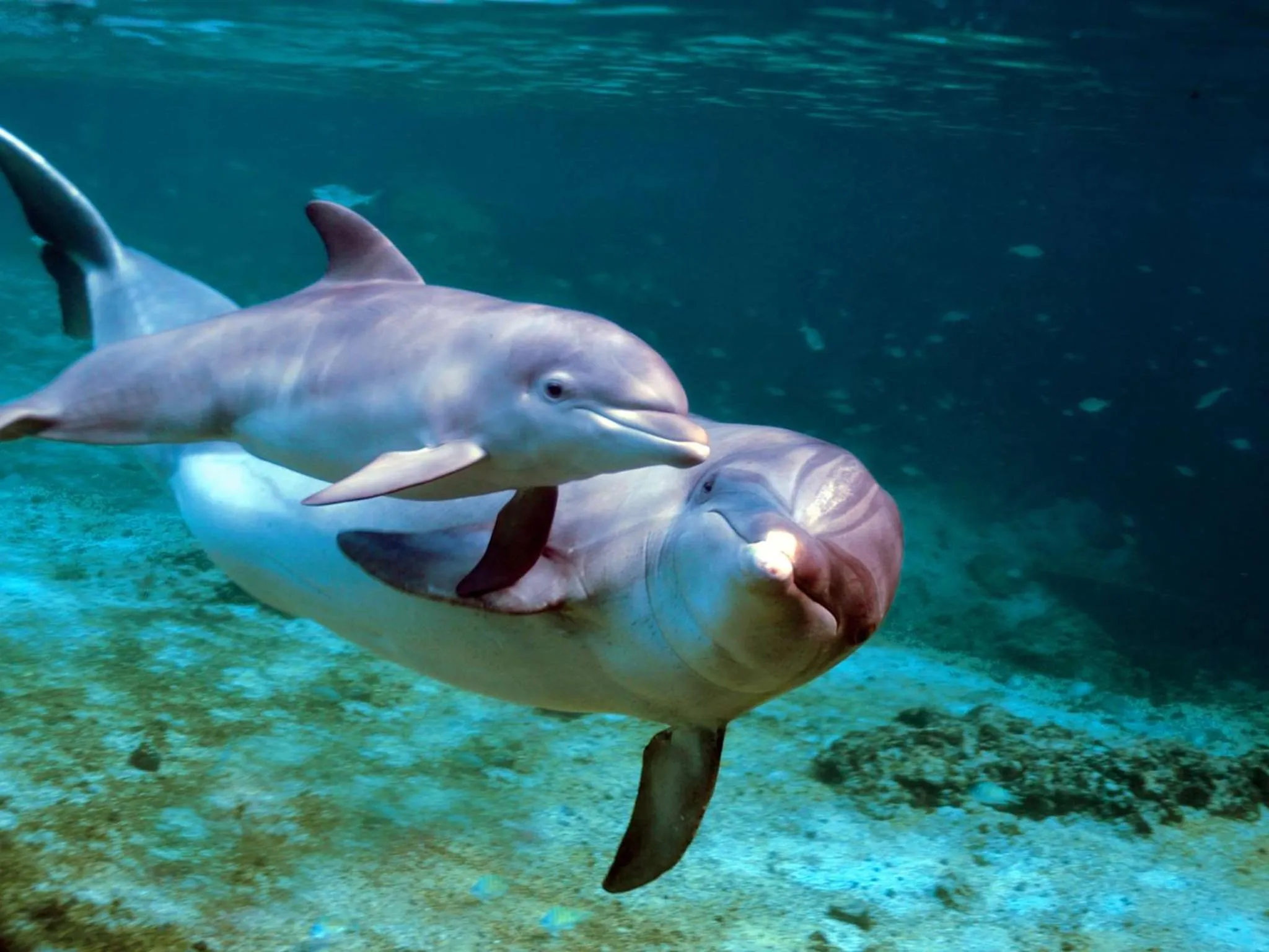 Sports in Hilton Maldives Amingiri Resort & Spa