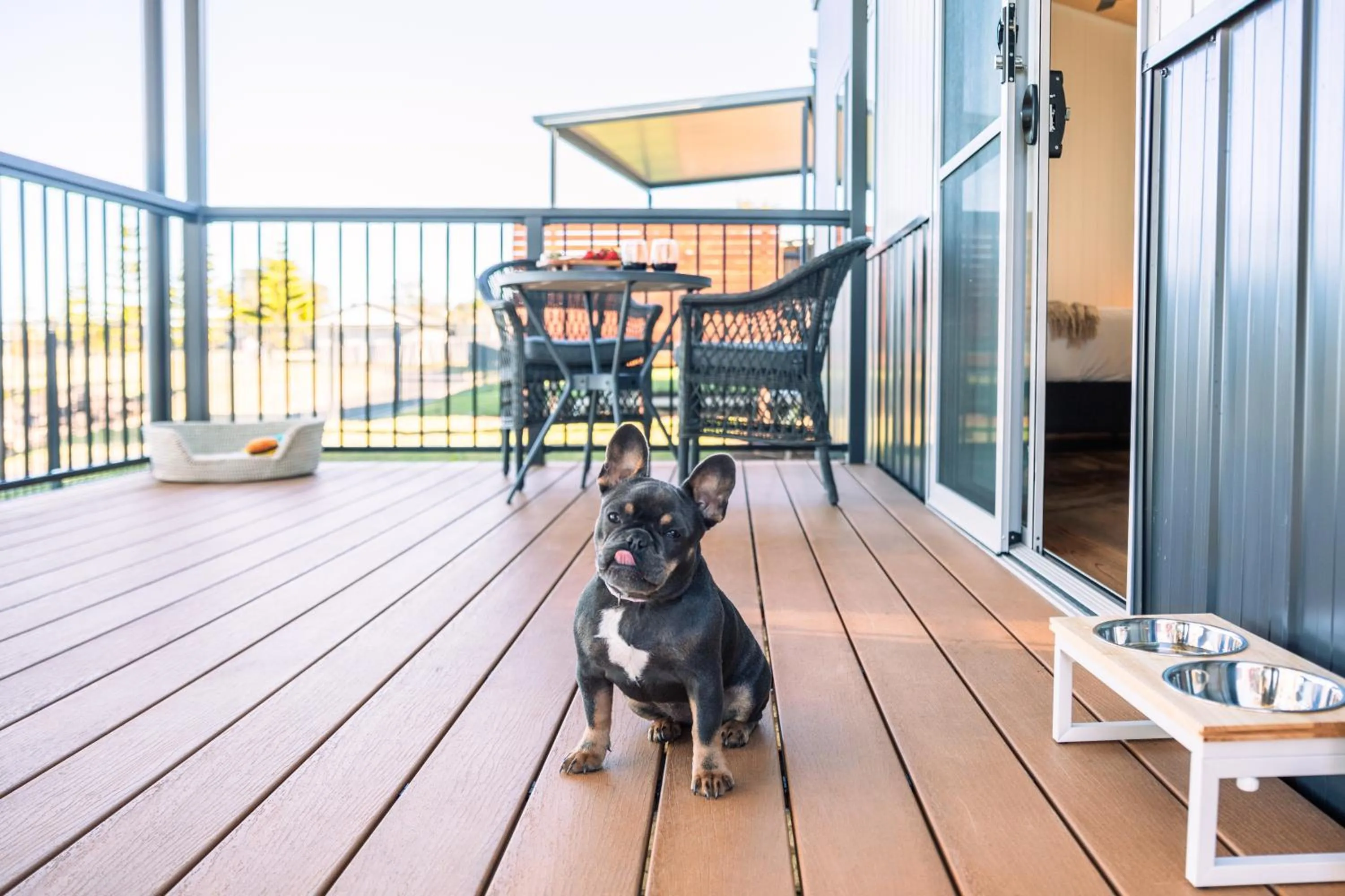 Pets in Reflections Shaws Bay - Holiday Park