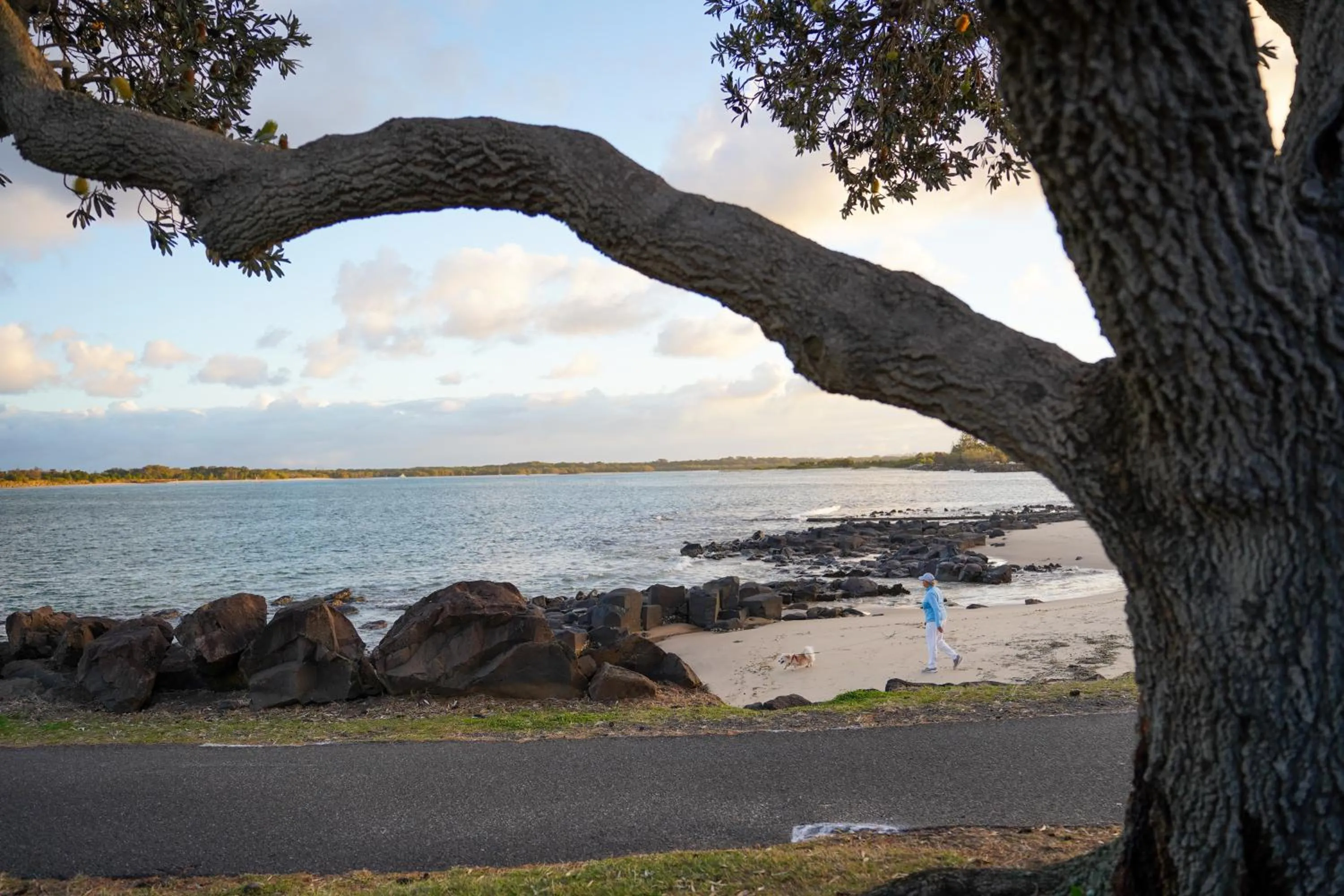 Beach in Reflections Shaws Bay - Holiday Park