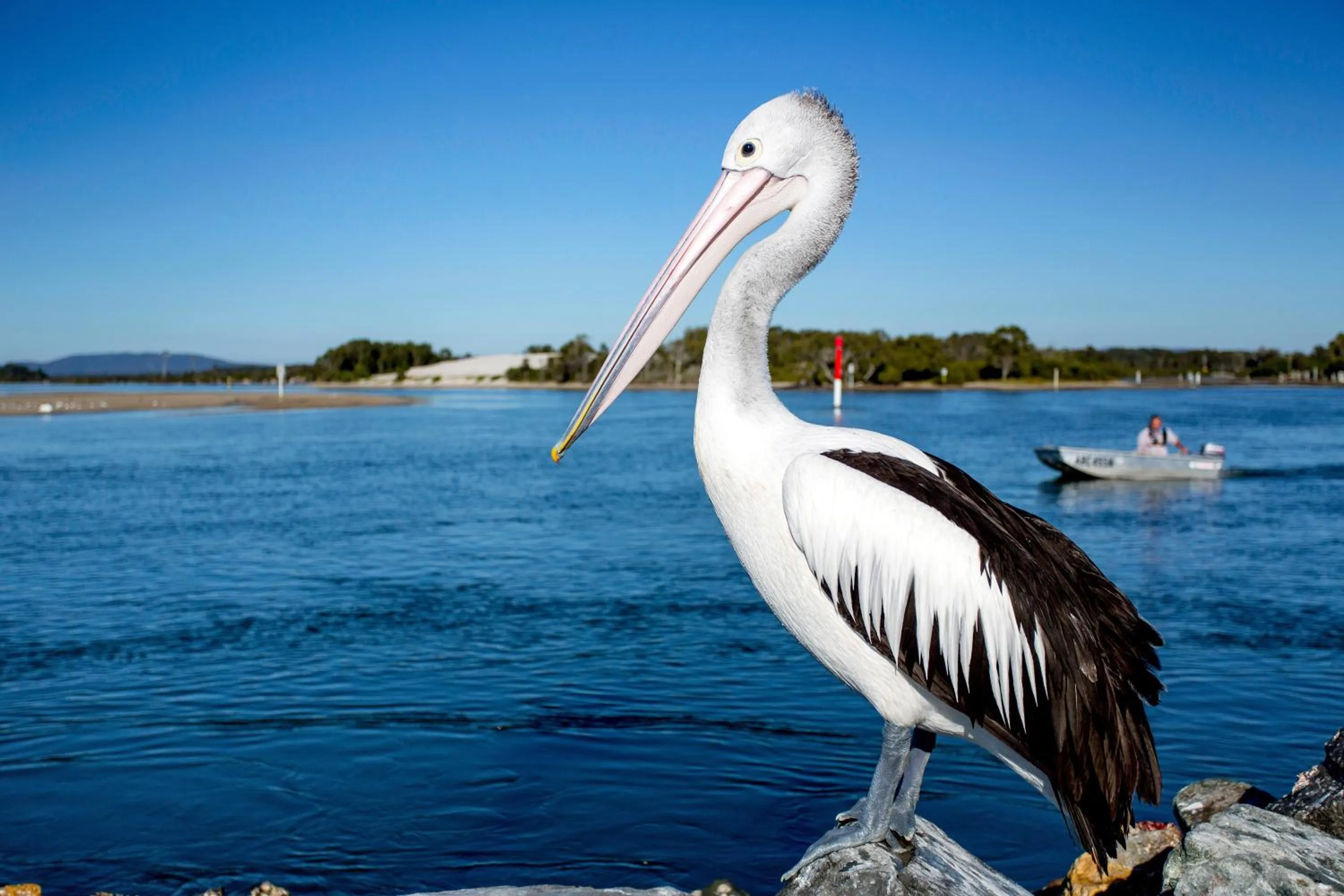 Area and facilities in Reflections Forster Beach - Holiday Park