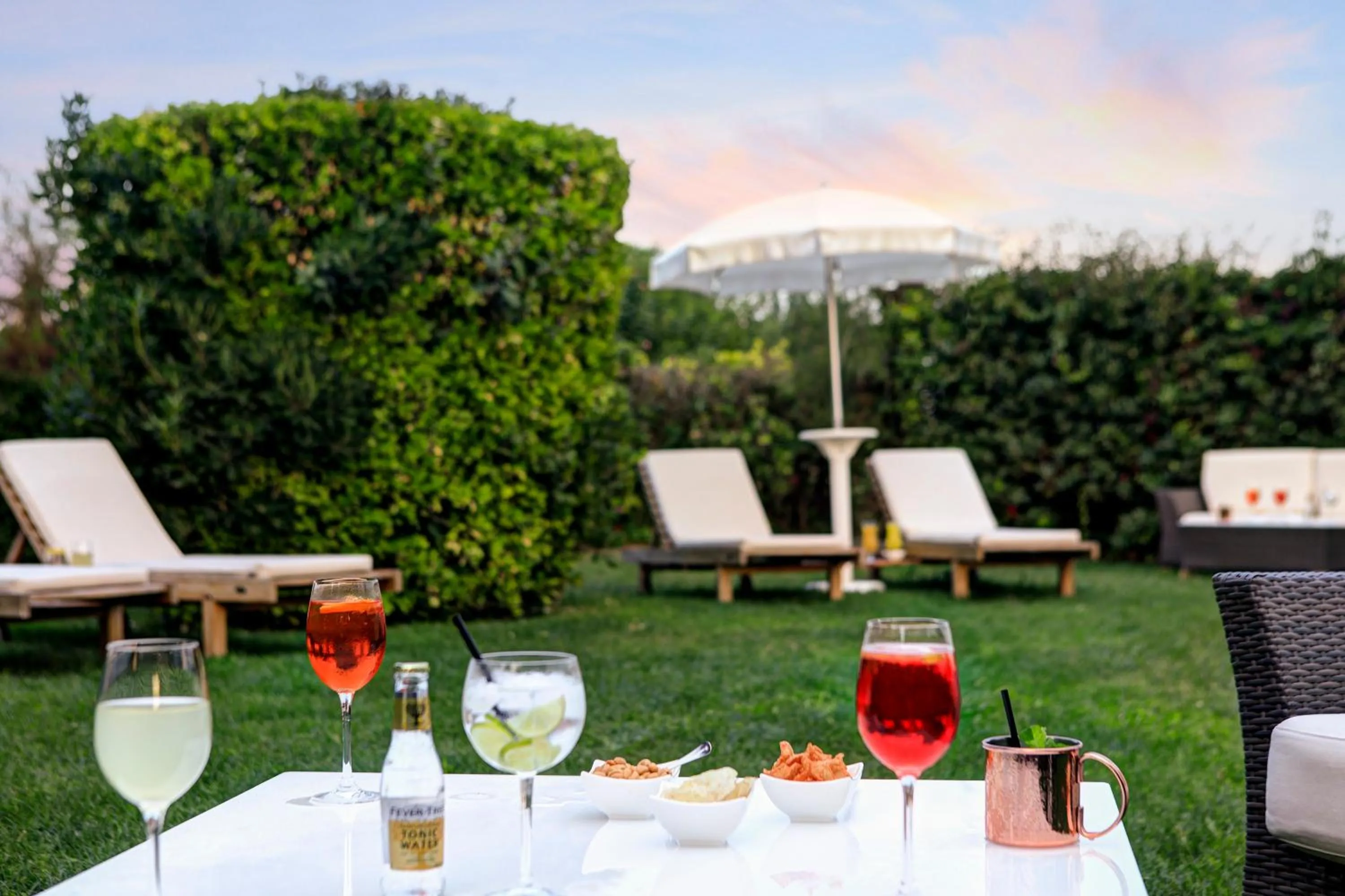 Garden in Park Hotel Brasilia