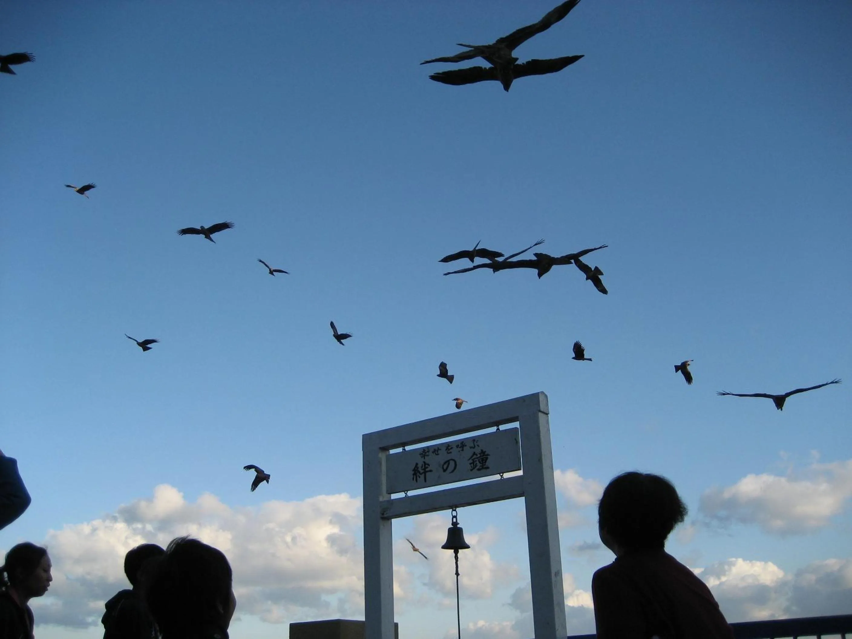 Garden in Ijika Daiichi Hotel Kagura