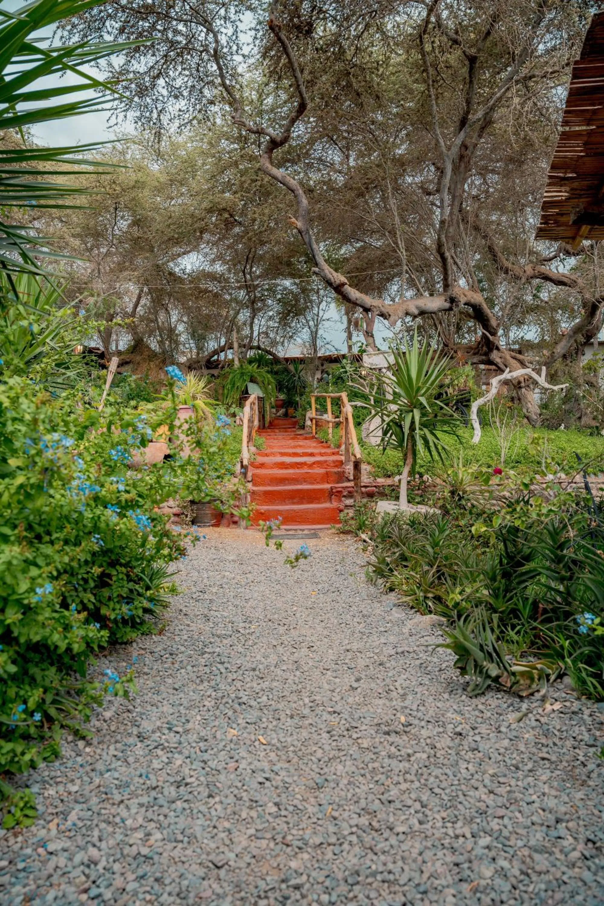 Garden view in Rochabus
