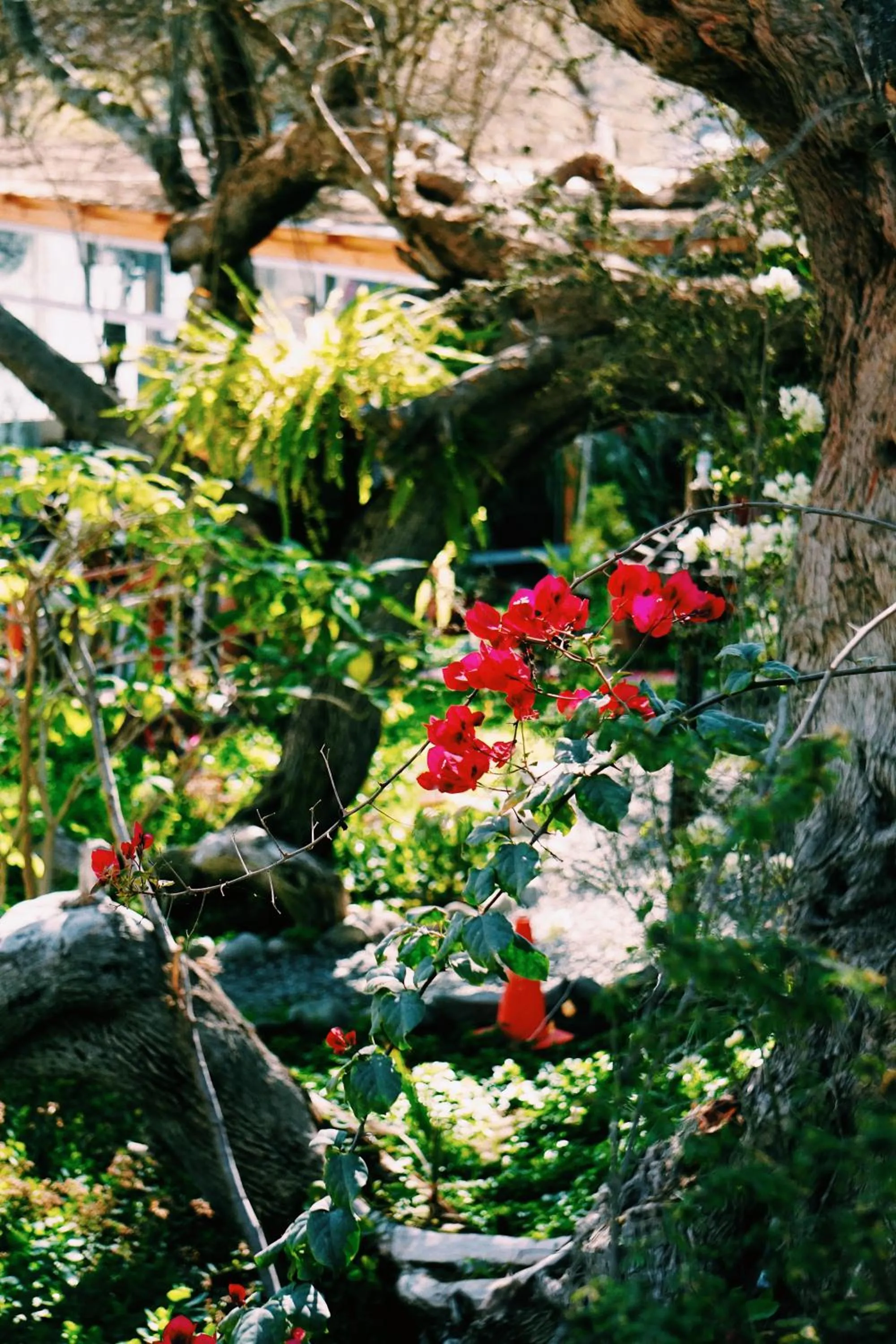 Garden view in Rochabus