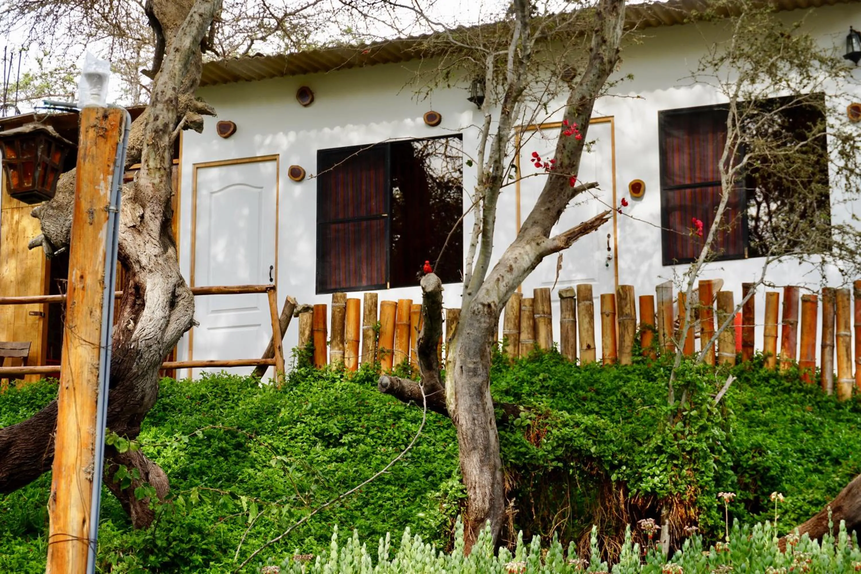 Garden in Rochabus
