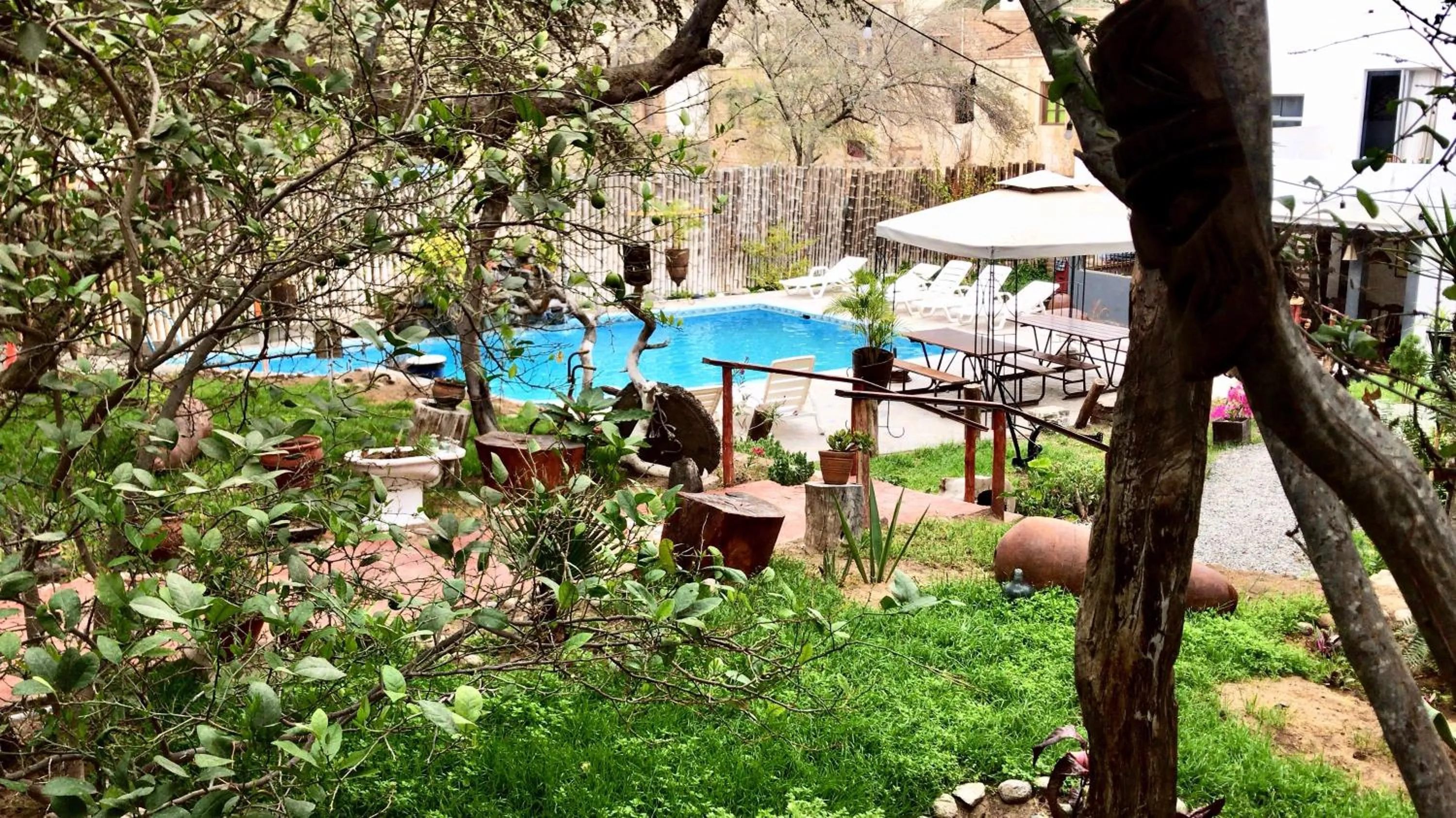 Garden view in Rochabus