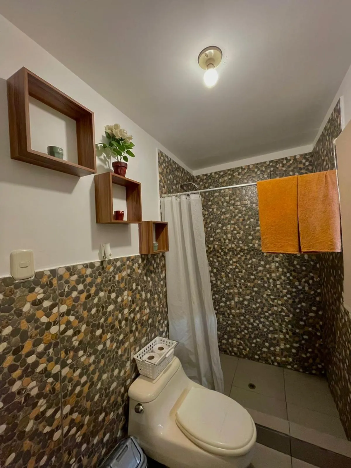 Bathroom in Rochabus