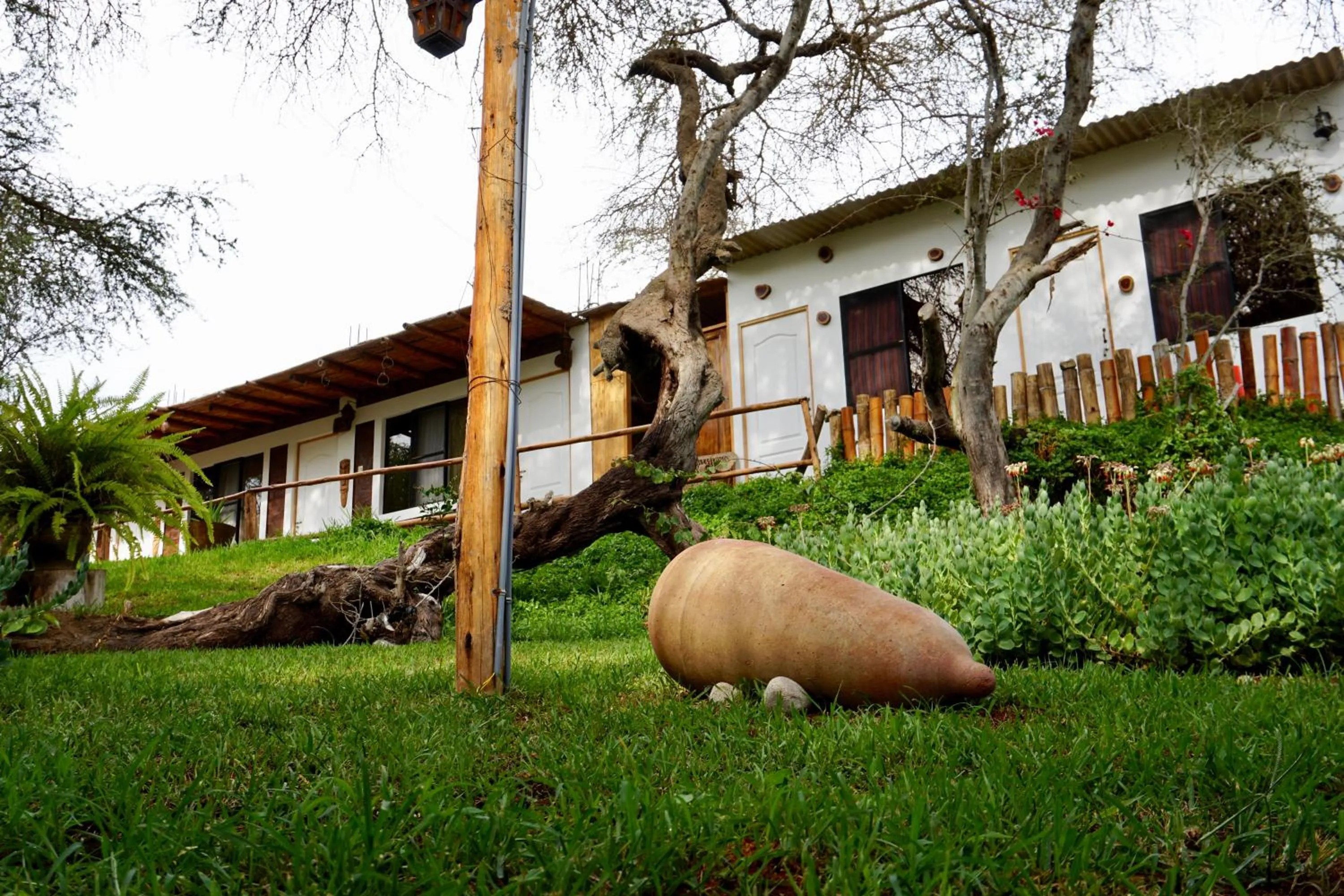 Garden in Rochabus