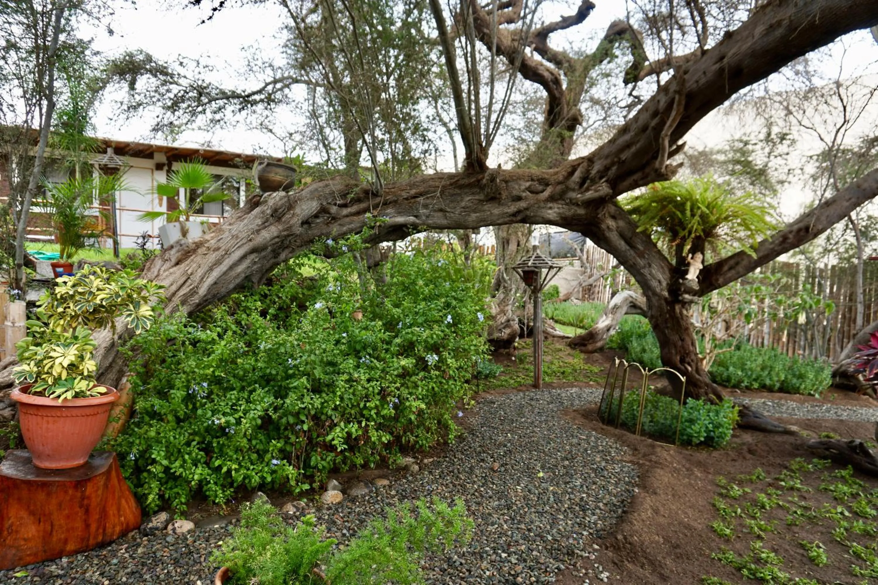 Garden view in Rochabus