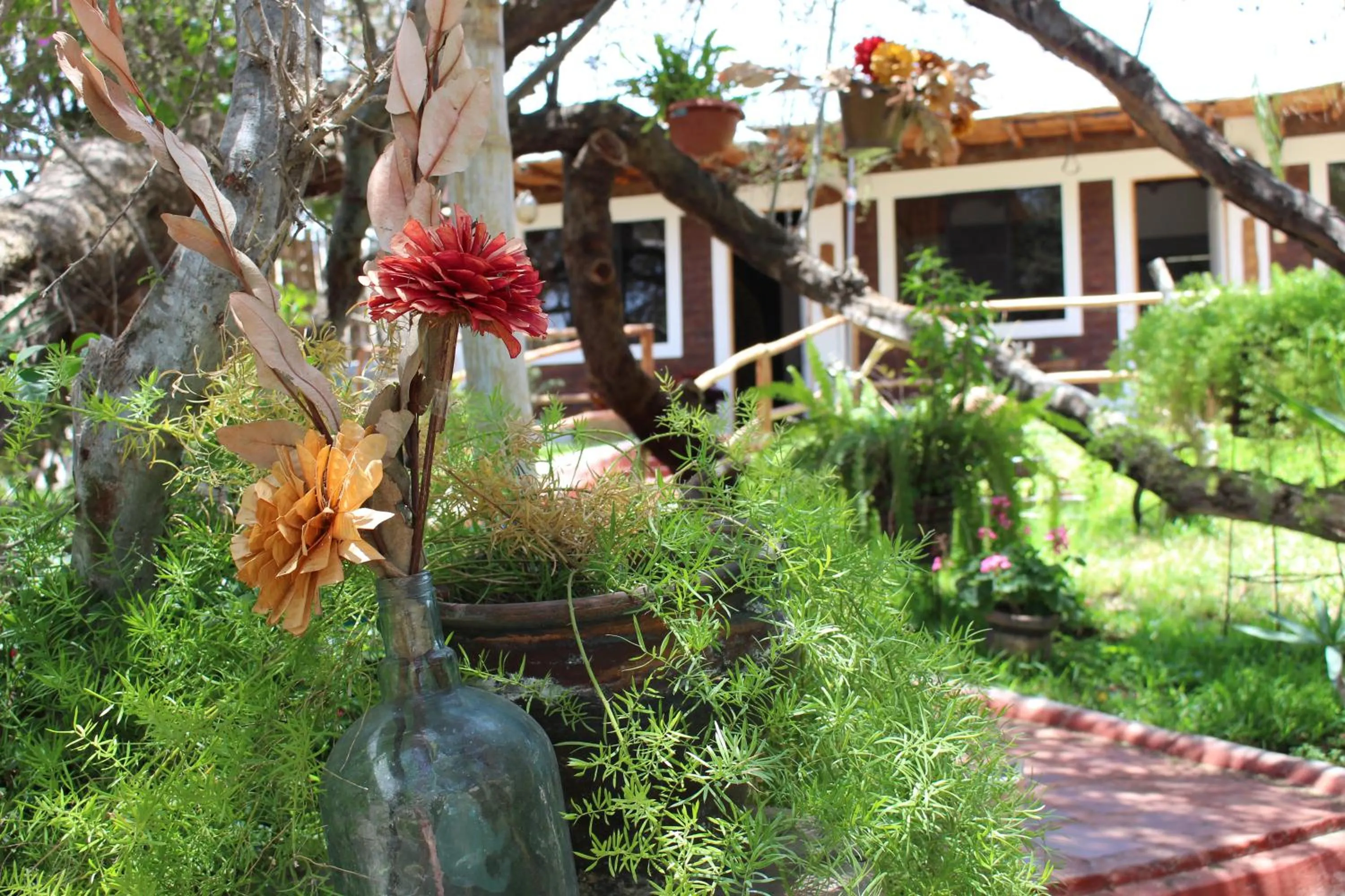 Garden view in Rochabus