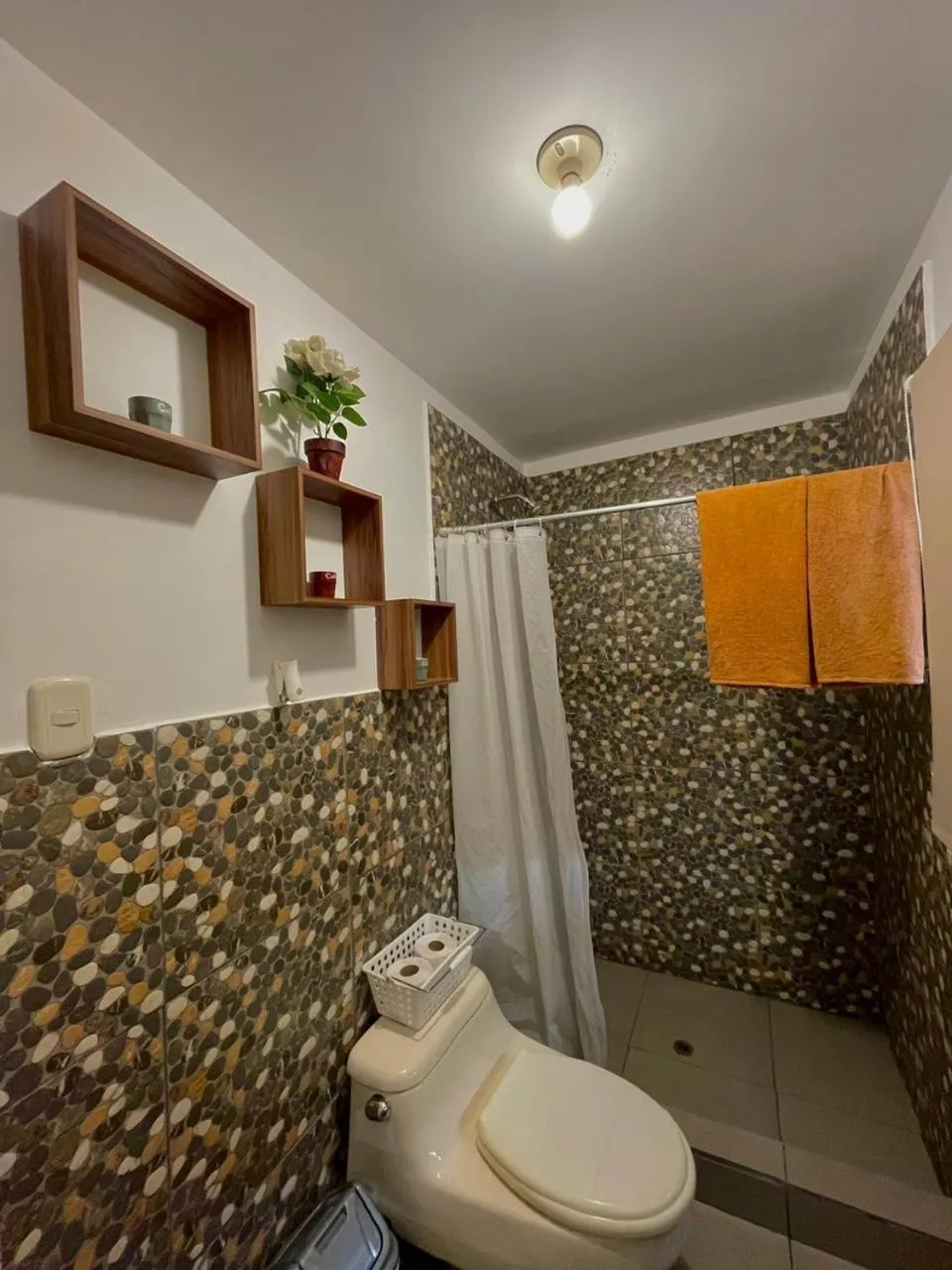 Toilet in Rochabus