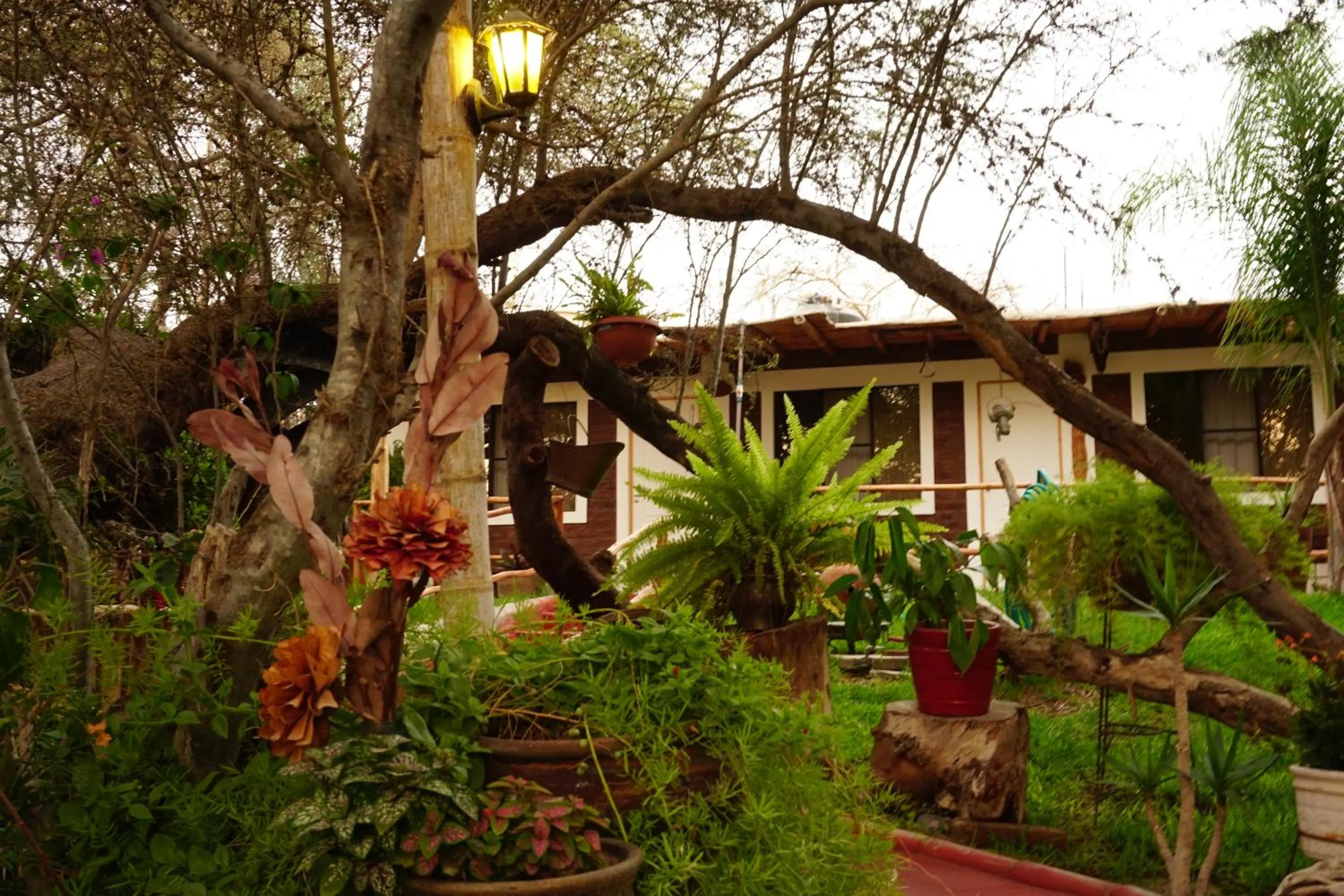 Garden view in Rochabus