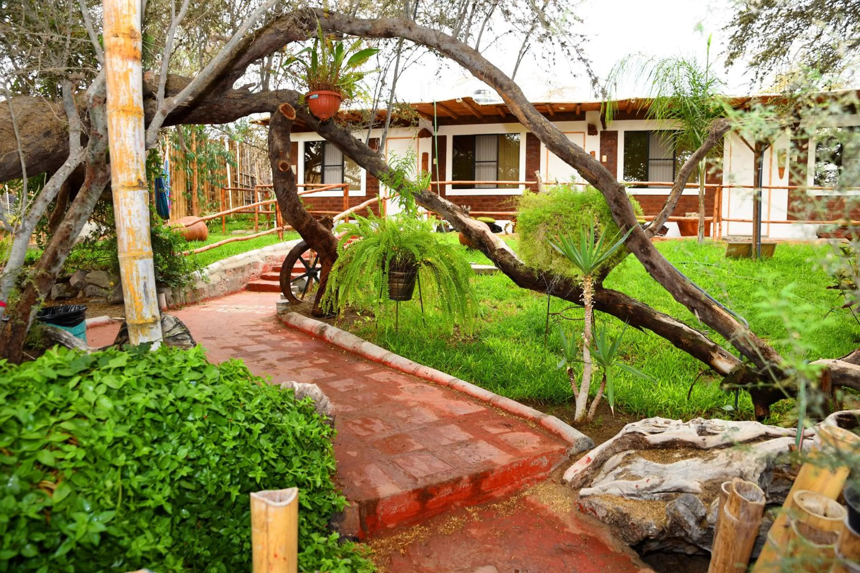 Garden in Rochabus