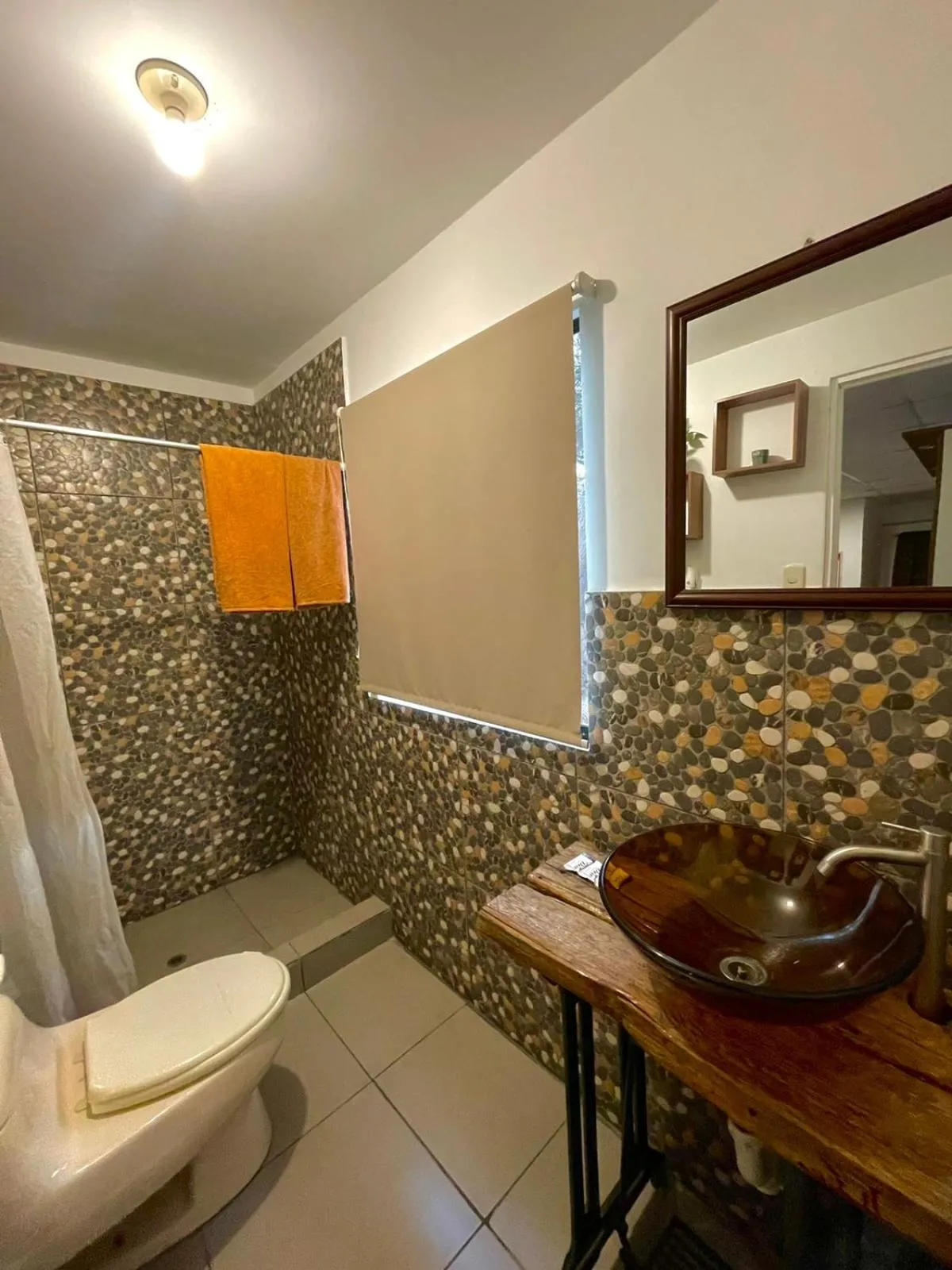 Bathroom in Rochabus
