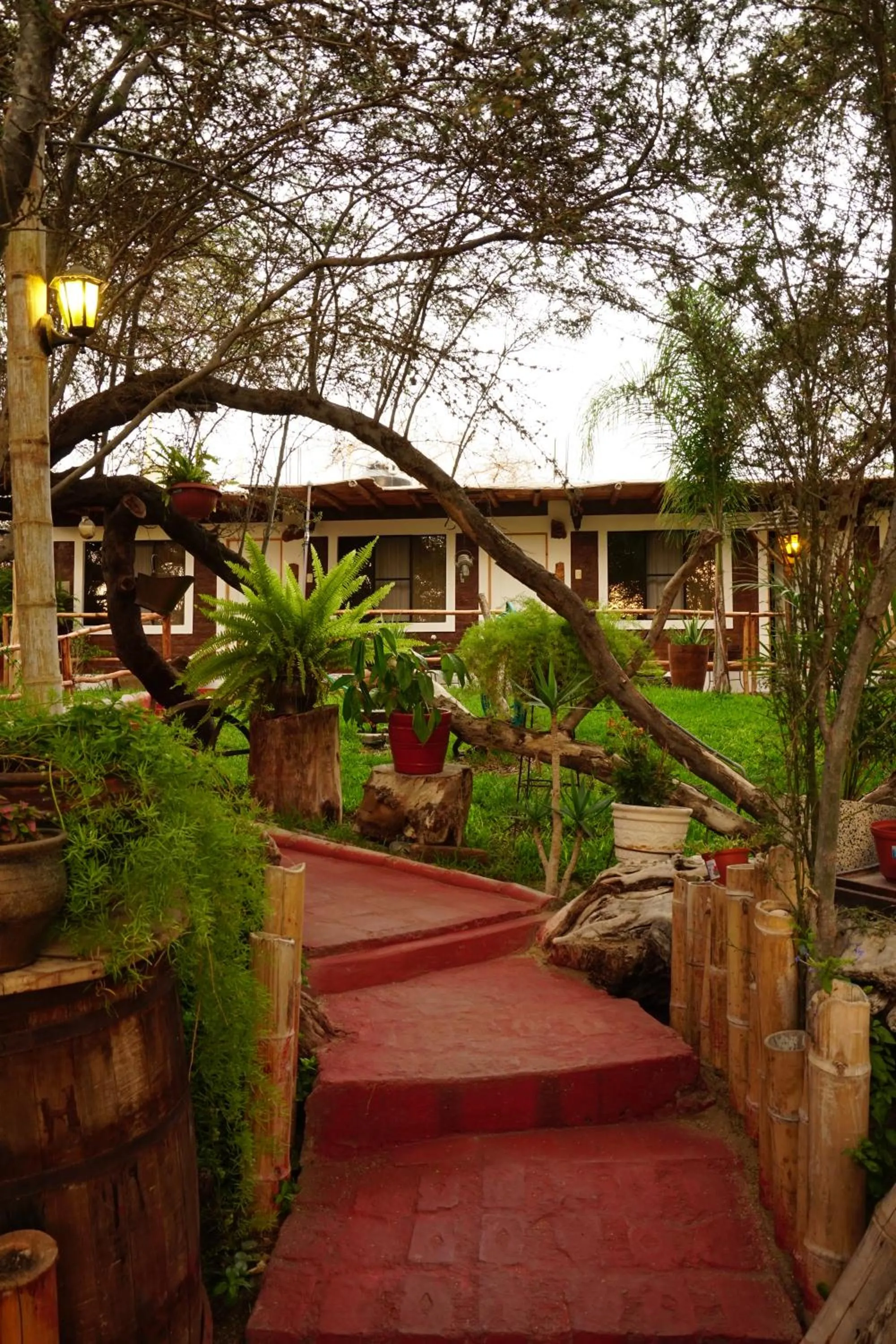 Garden in Rochabus