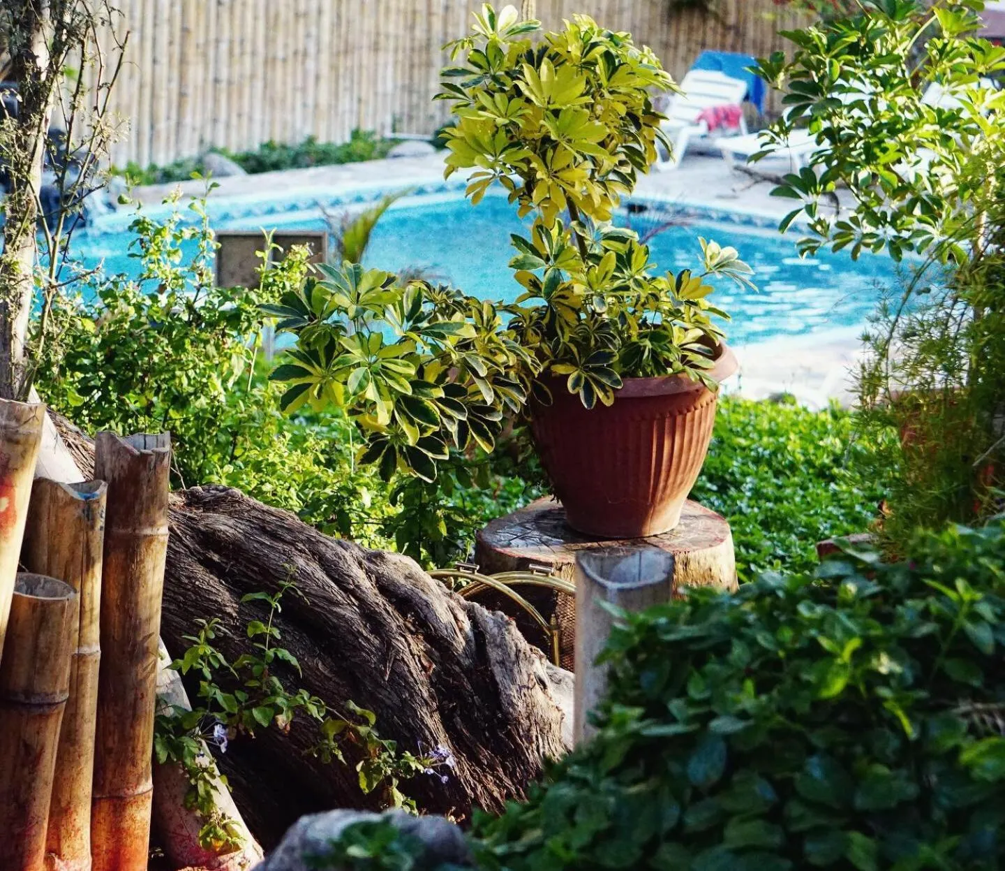 Pool view in Rochabus