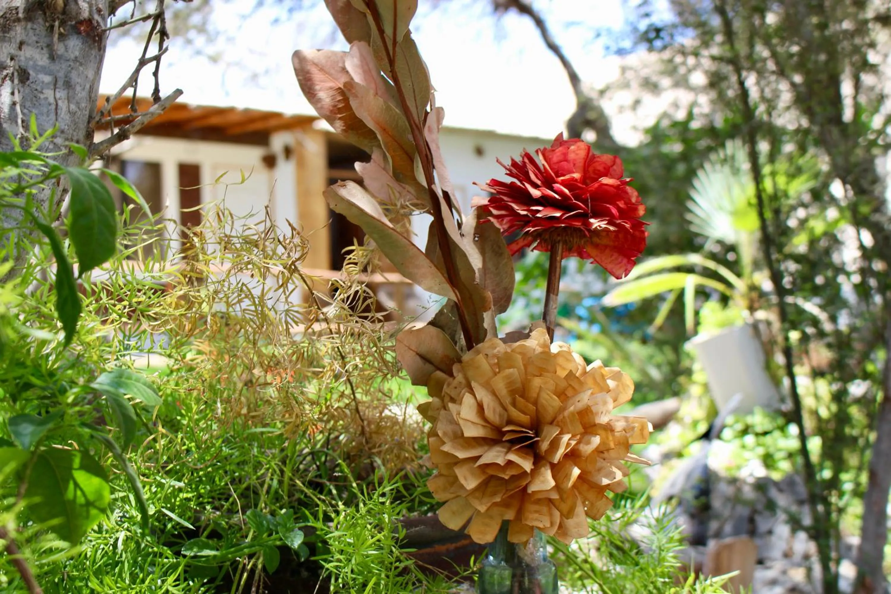 Garden view in Rochabus