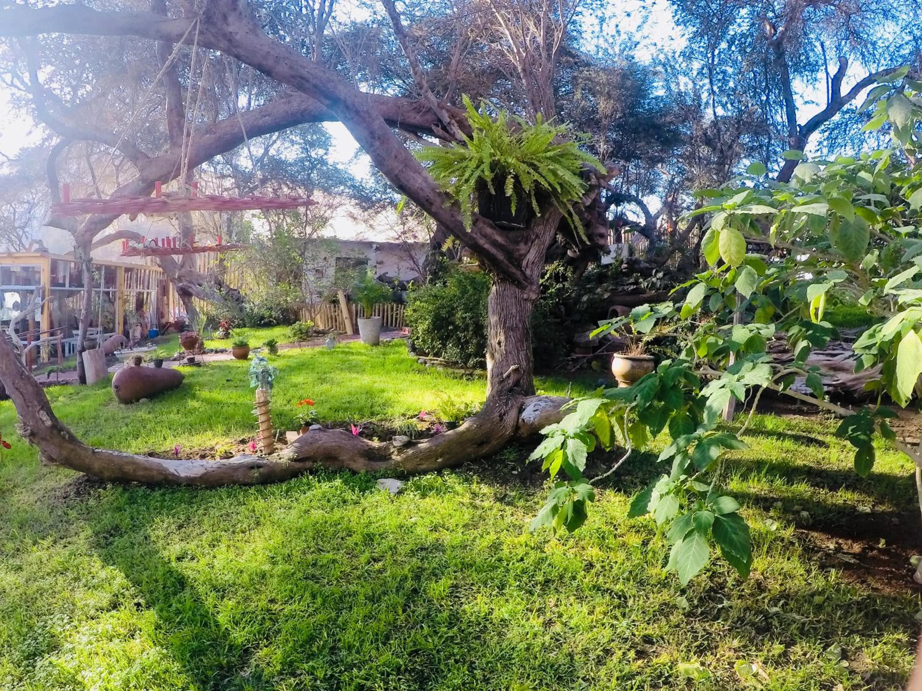 Garden view in Rochabus