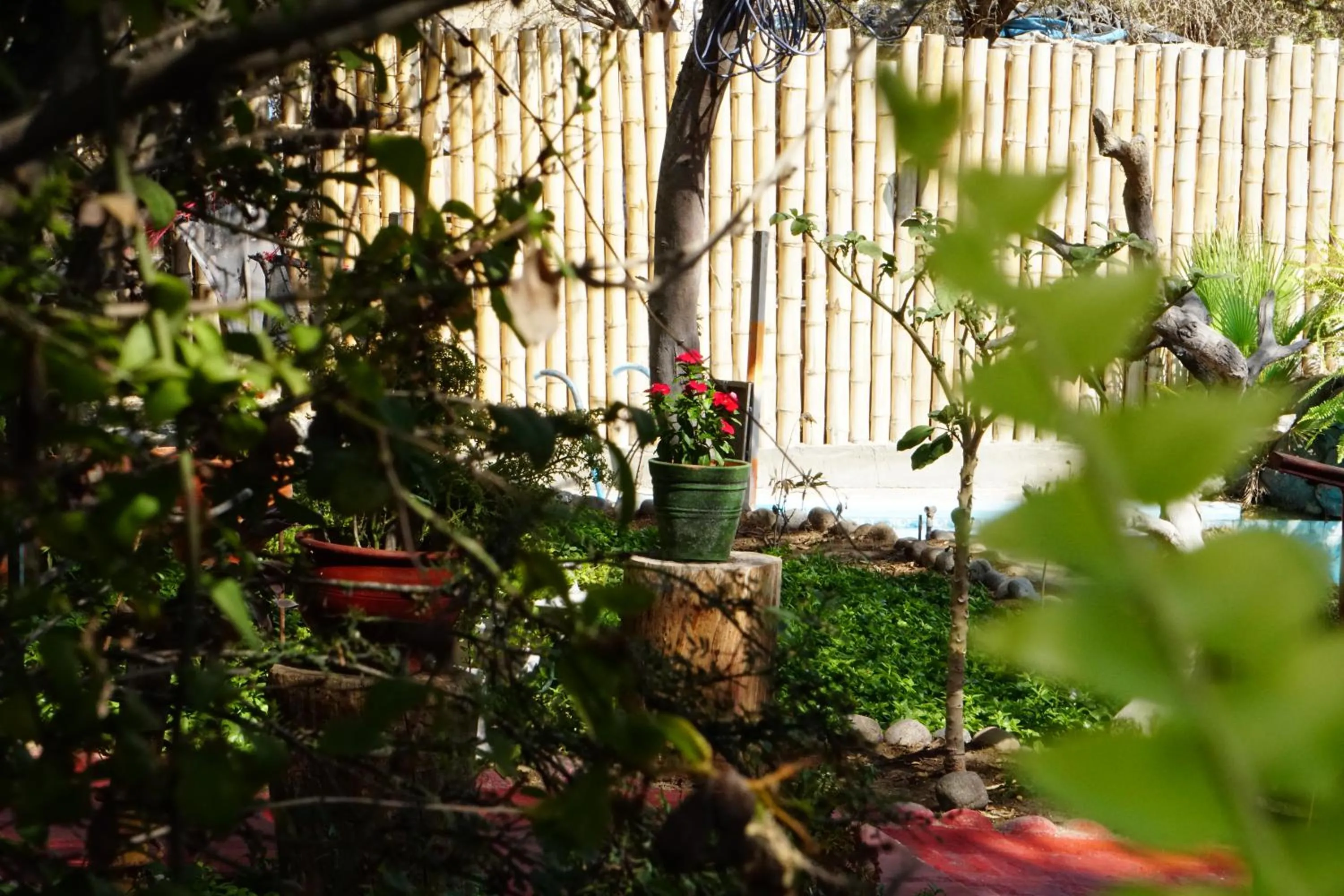 Garden view in Rochabus
