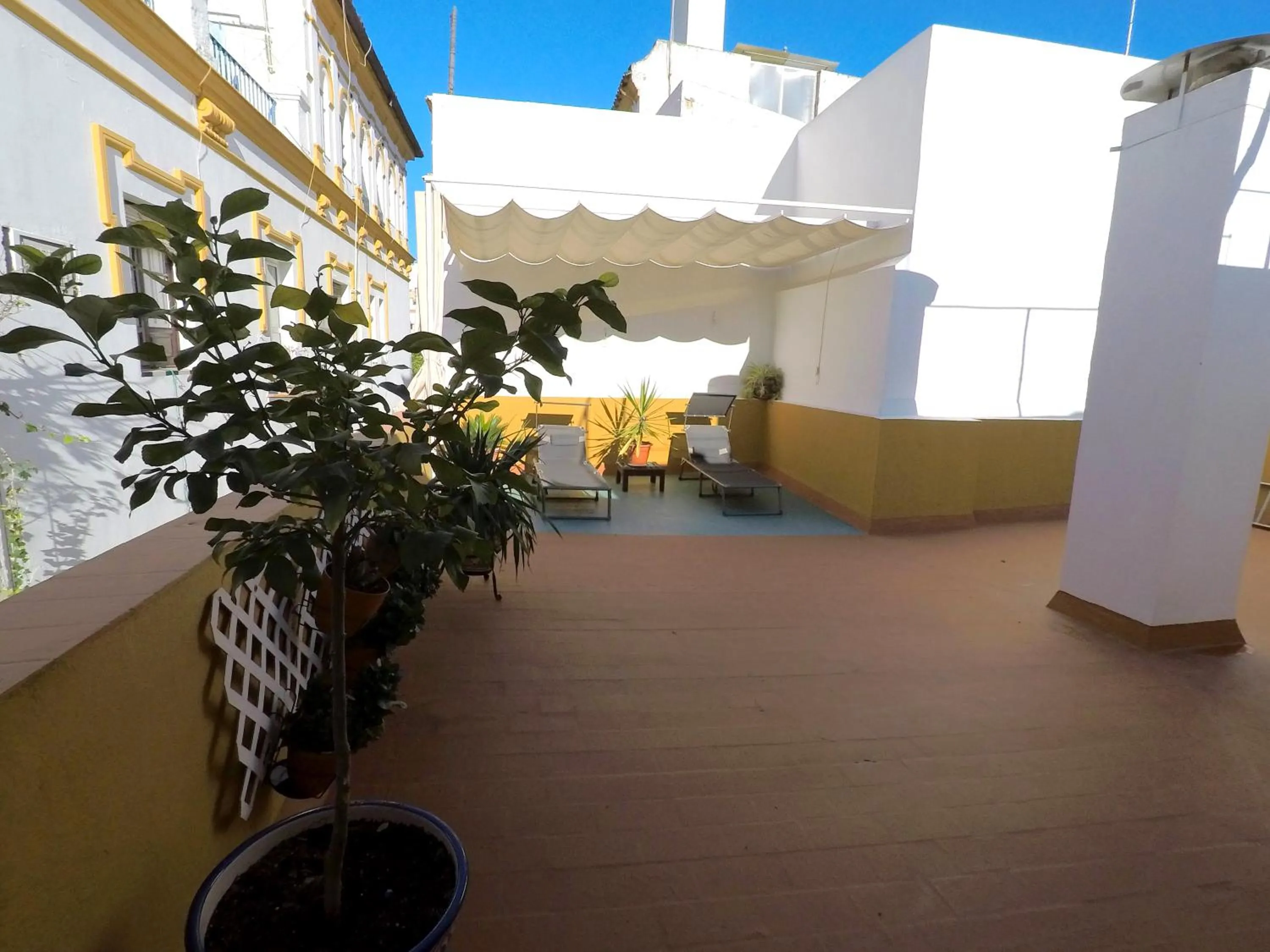Balcony/Terrace in Duplex acogedor con gran terraza en pleno centro de Sevilla!