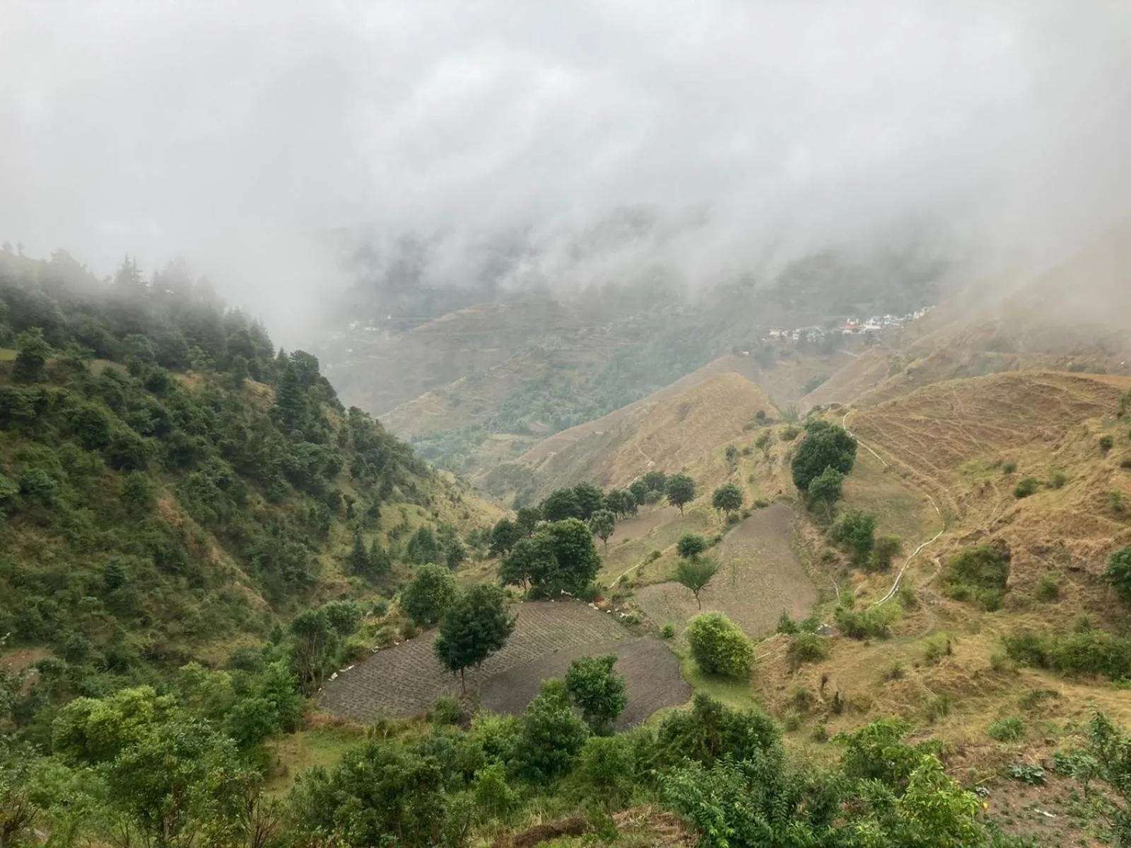 View (from property/room) in Chakrata Inn Resort
