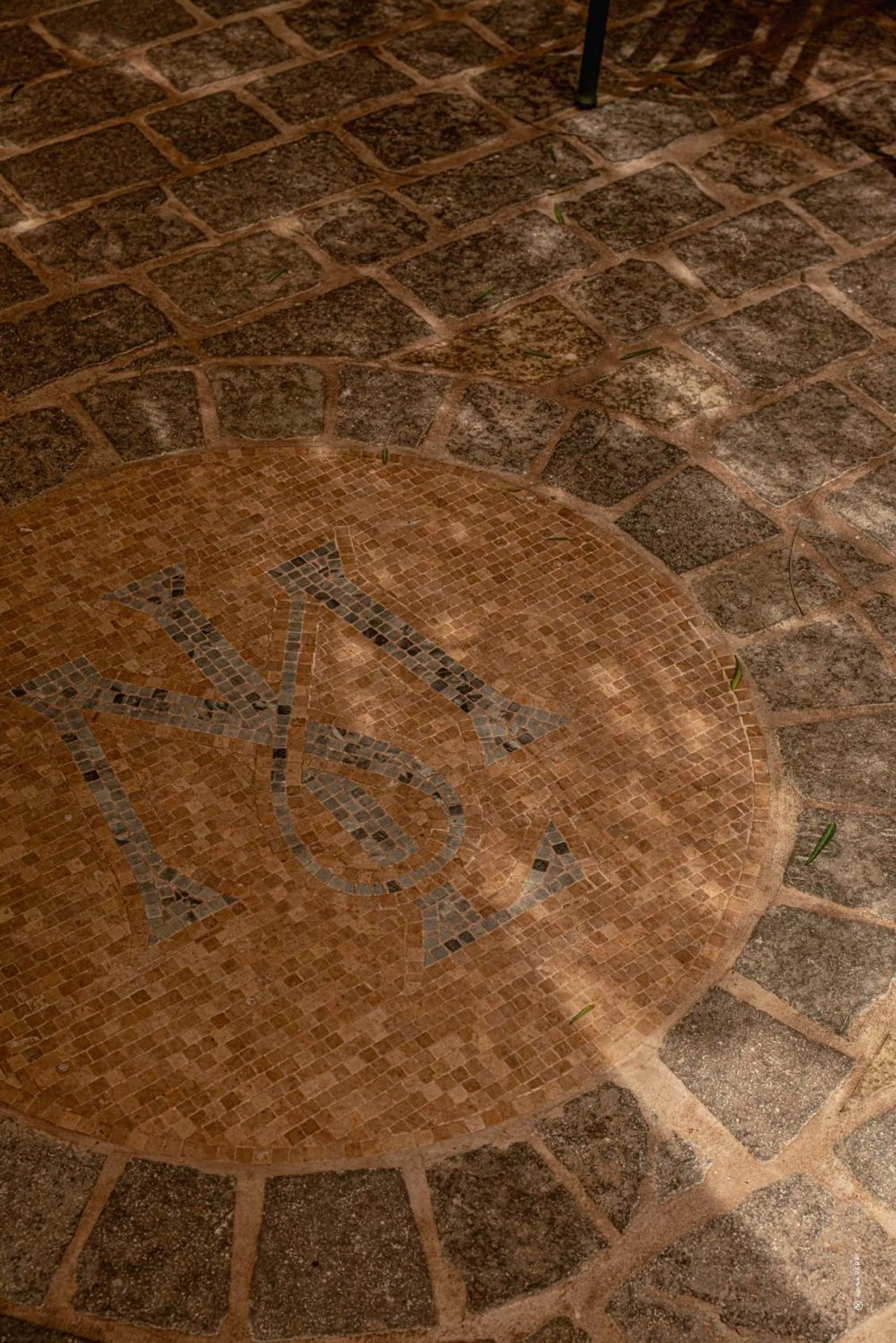 Garden in Hôtel Le Mosaïque