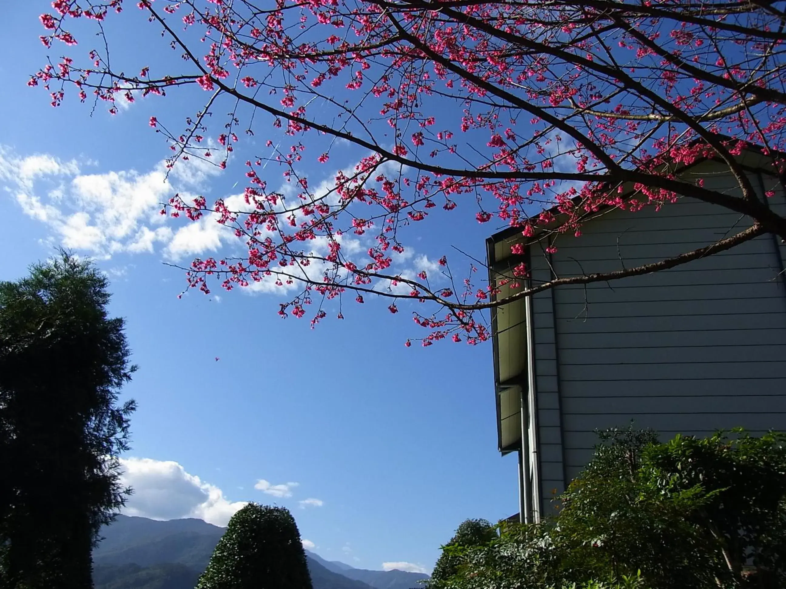 View (from property/room) in Ying Shih Guest House View (from property/room) in Ying Shih Guest House
