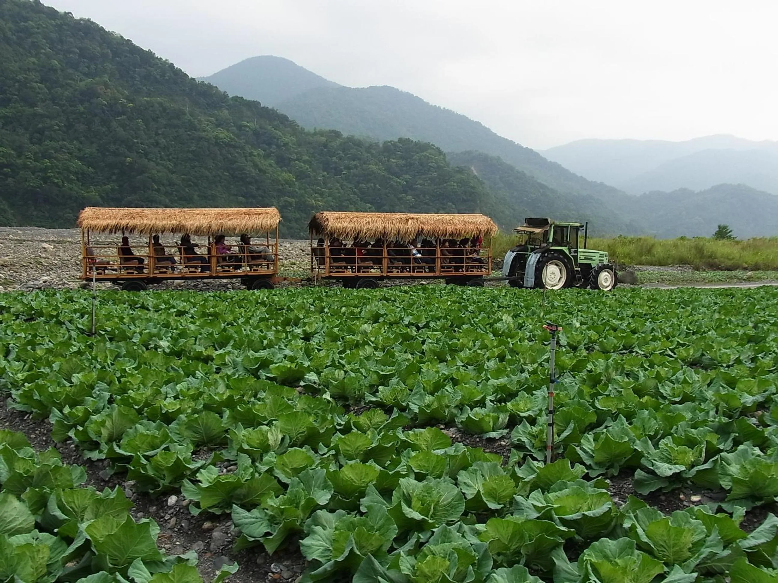 Other in Ying Shih Guest House
