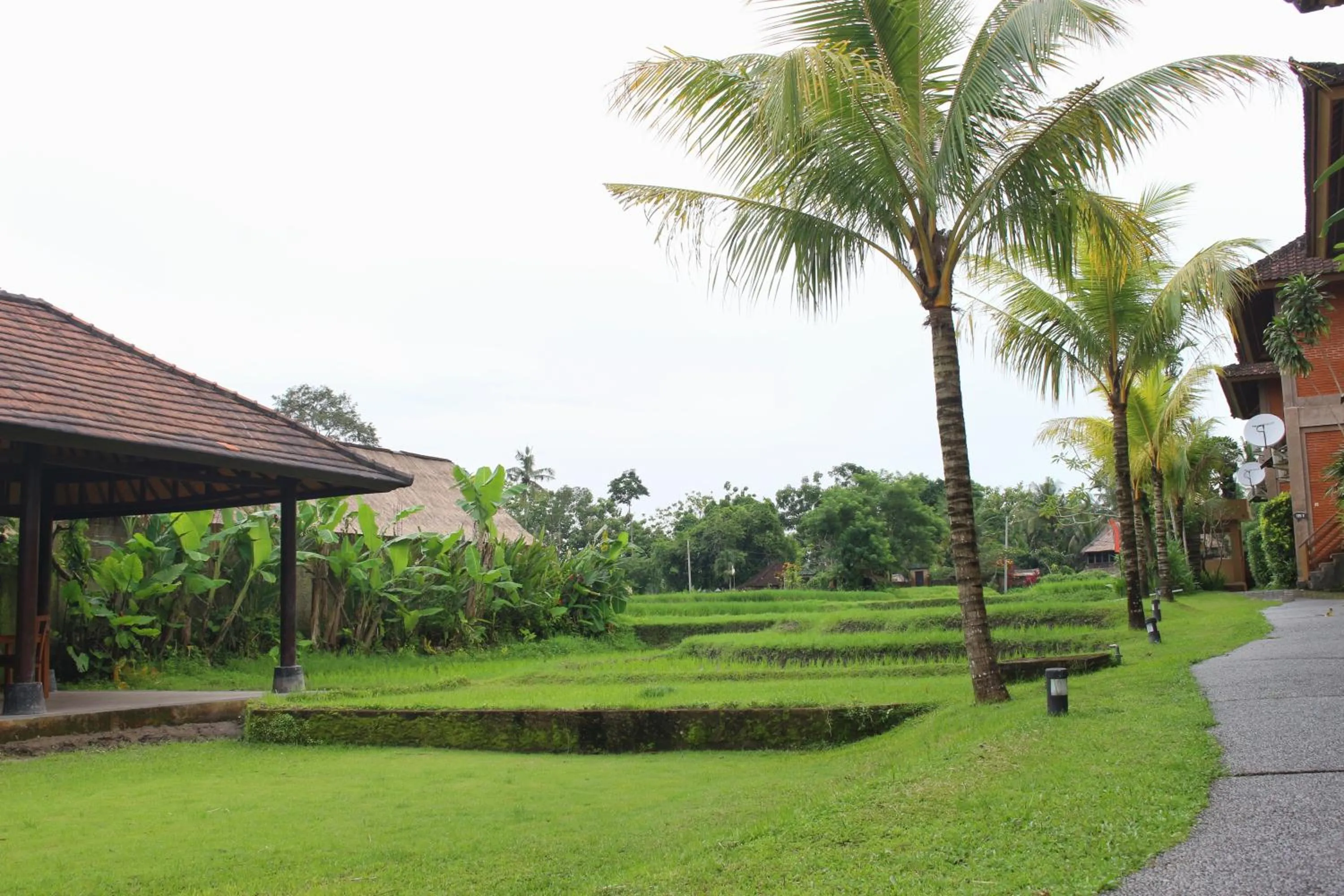 Garden view in Saren Indah Hotel