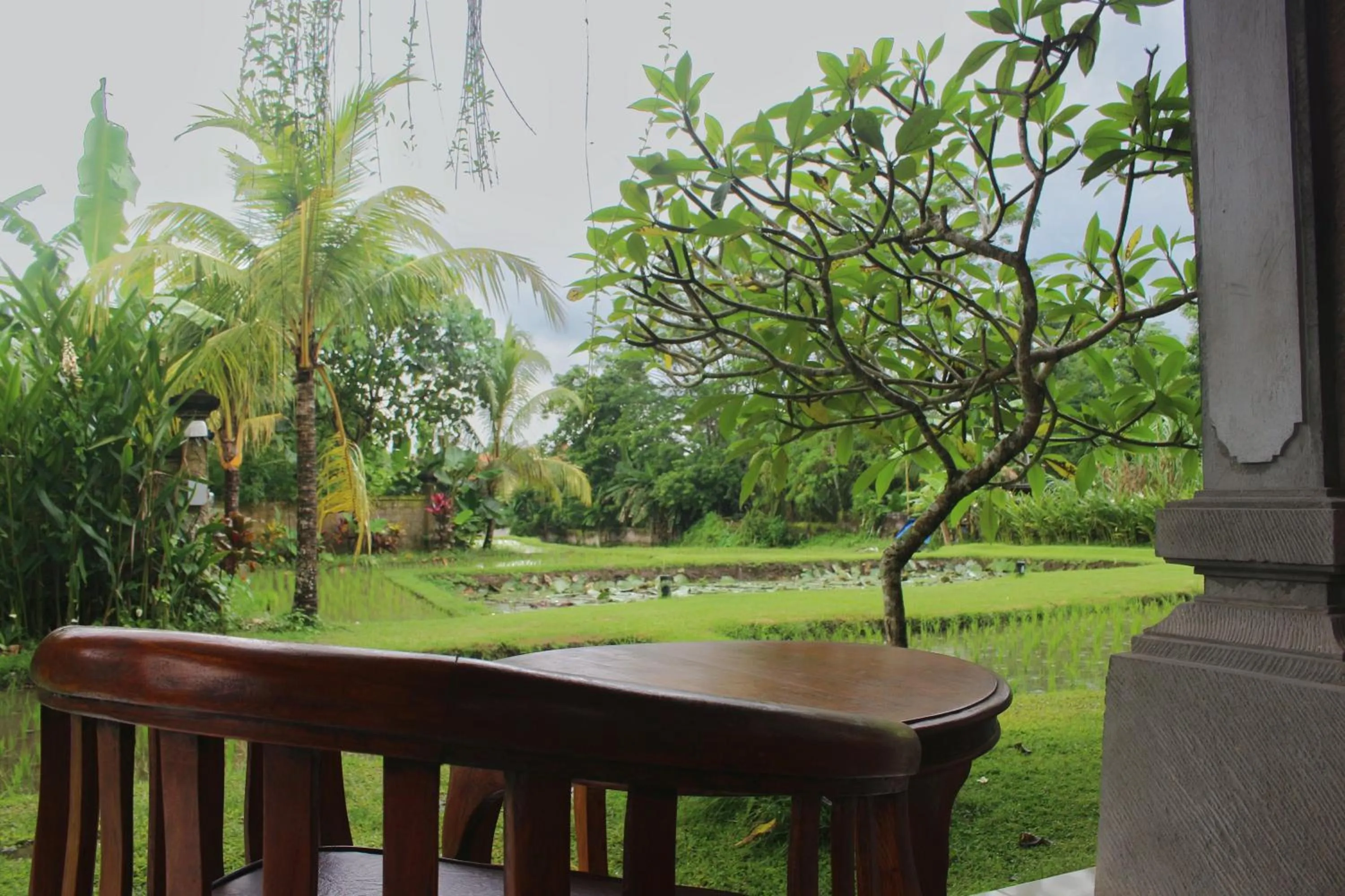 View (from property/room) in Saren Indah Hotel
