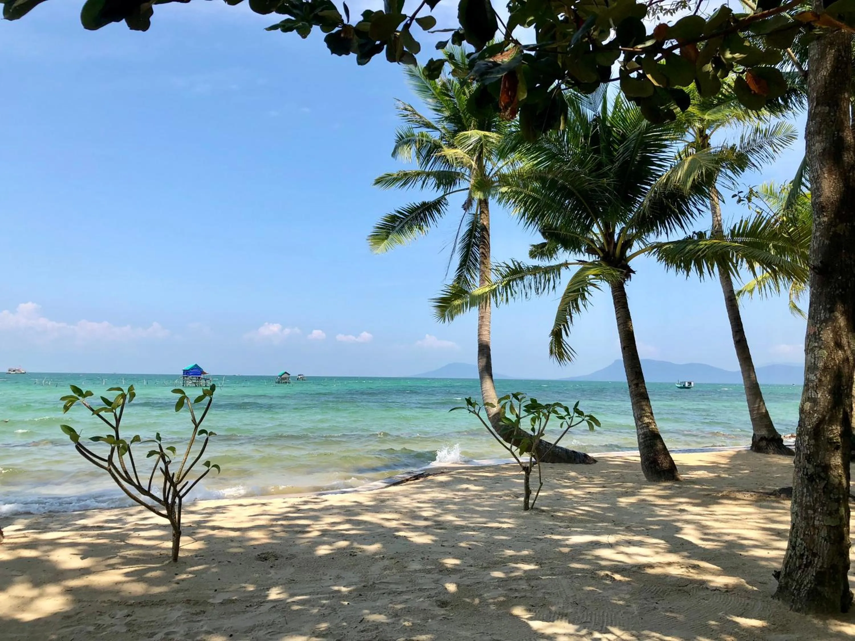 Beach in Peppercorn Beach Resort