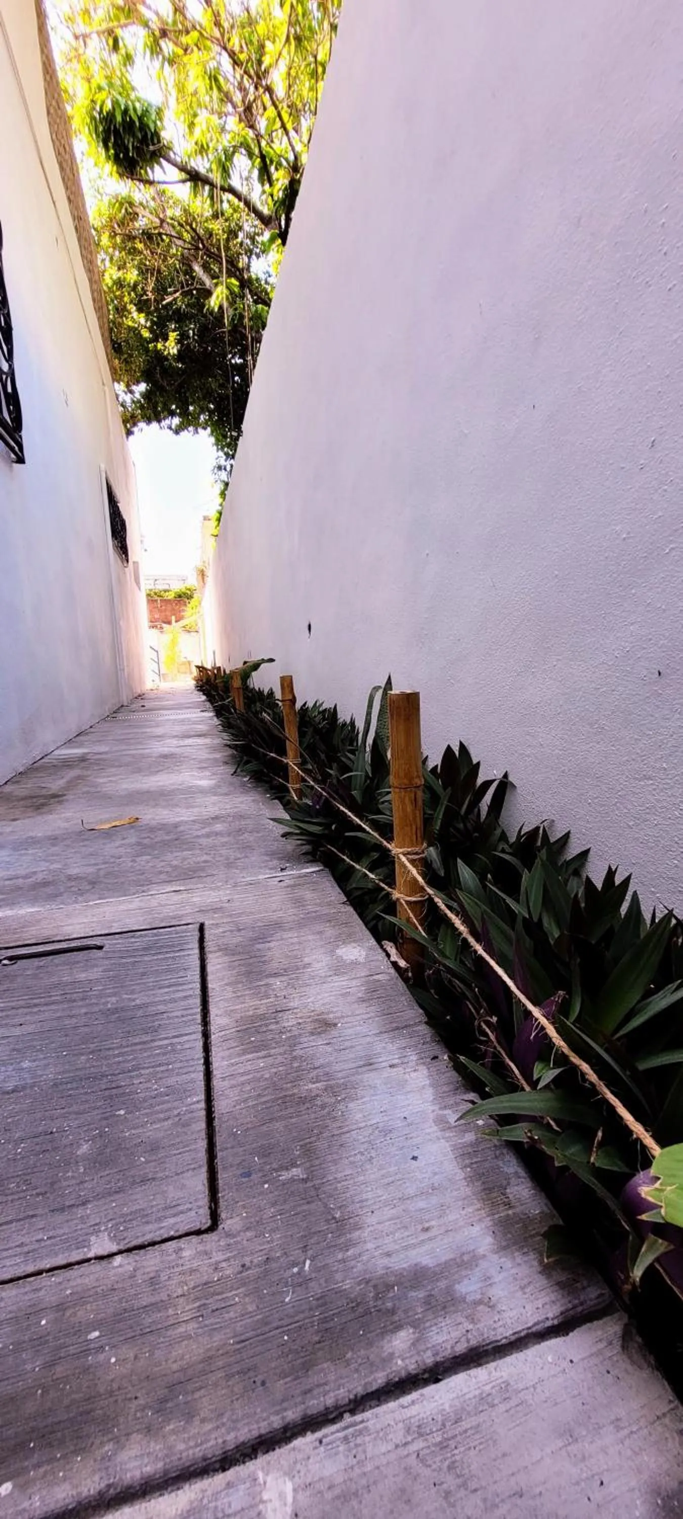 acessibility in Doña Adelina House