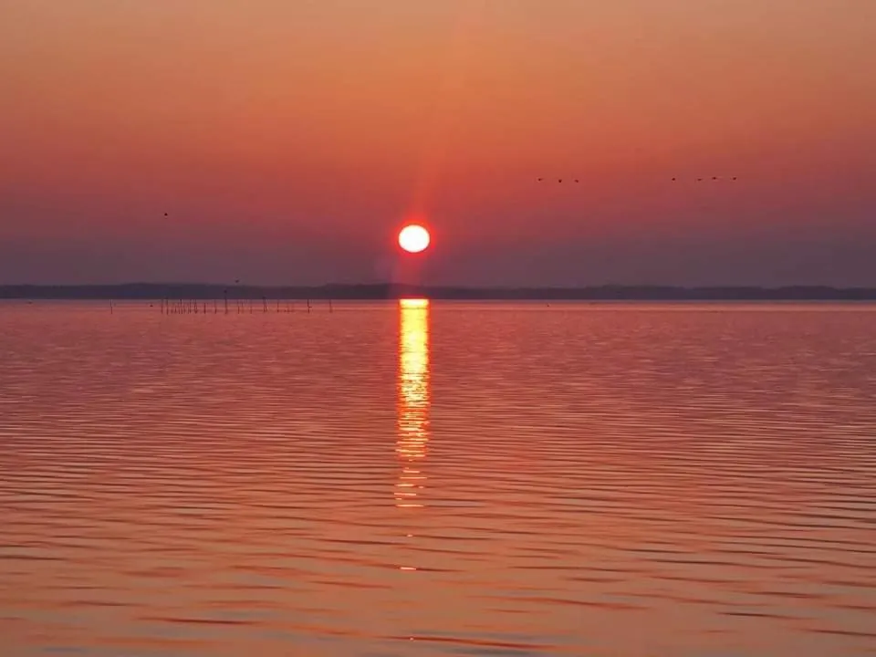 Sunset in Villa Loebel 1881