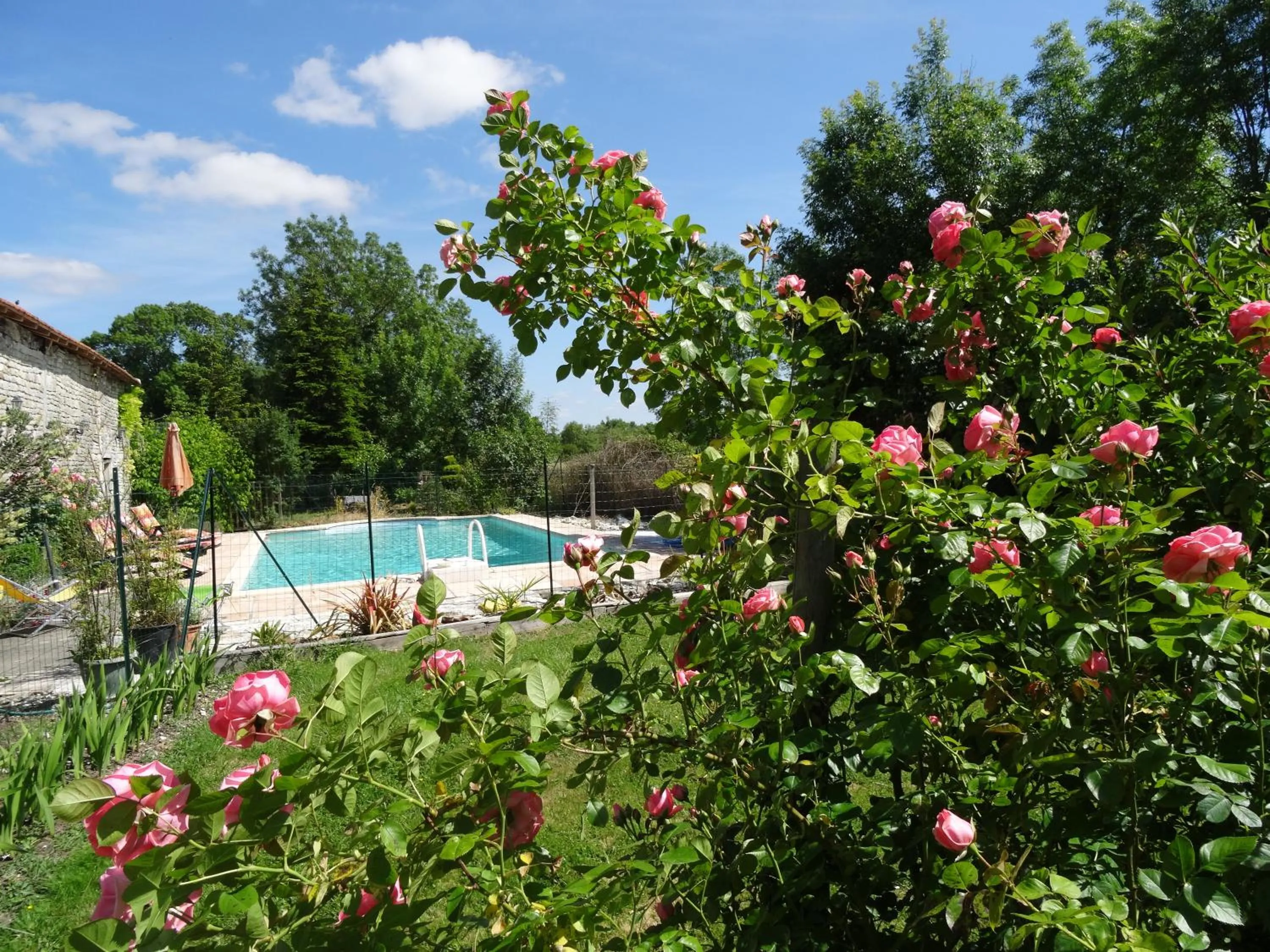 Garden in La Fontenelle Chambres d'Hôtes