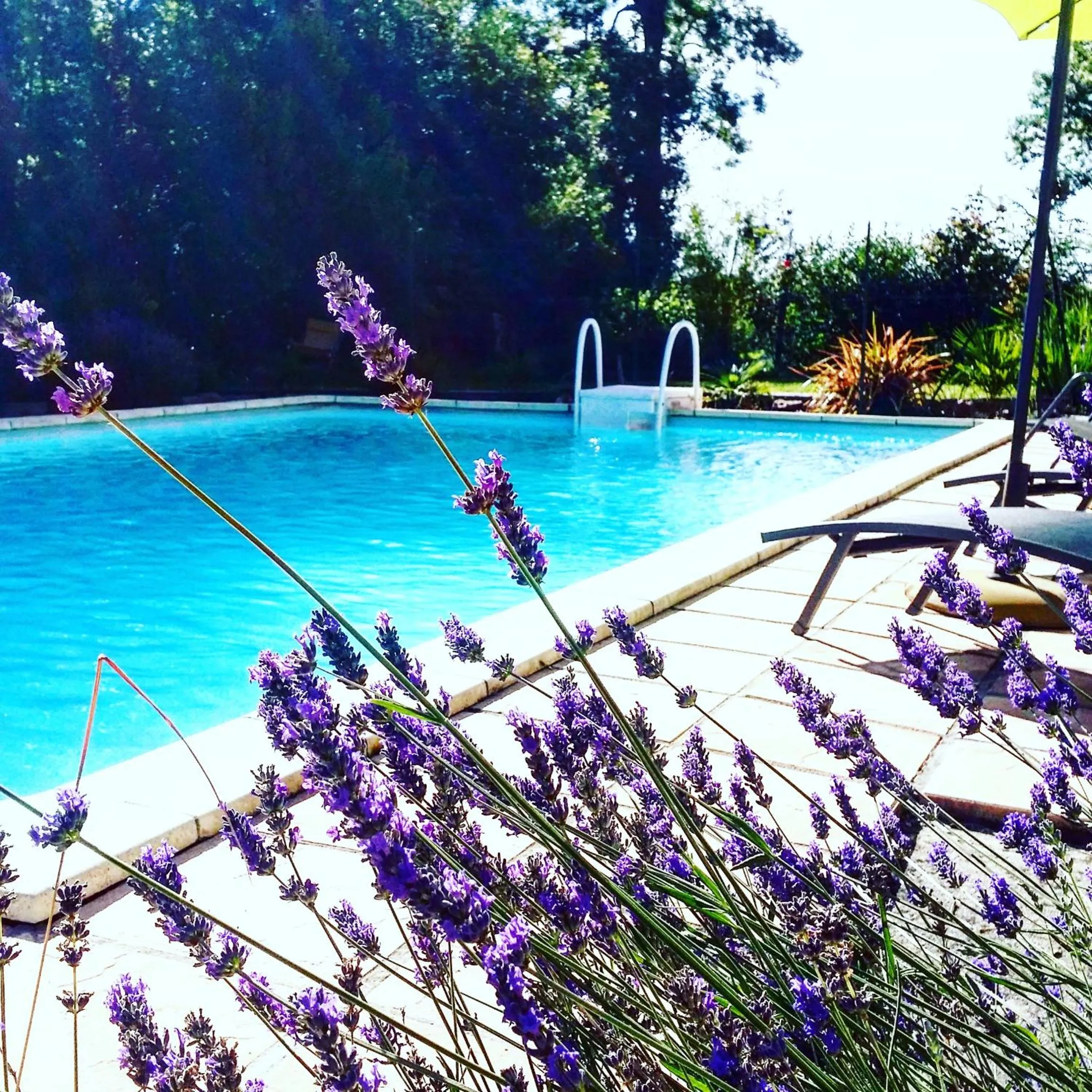 La Fontenelle Chambres d'Hôtes