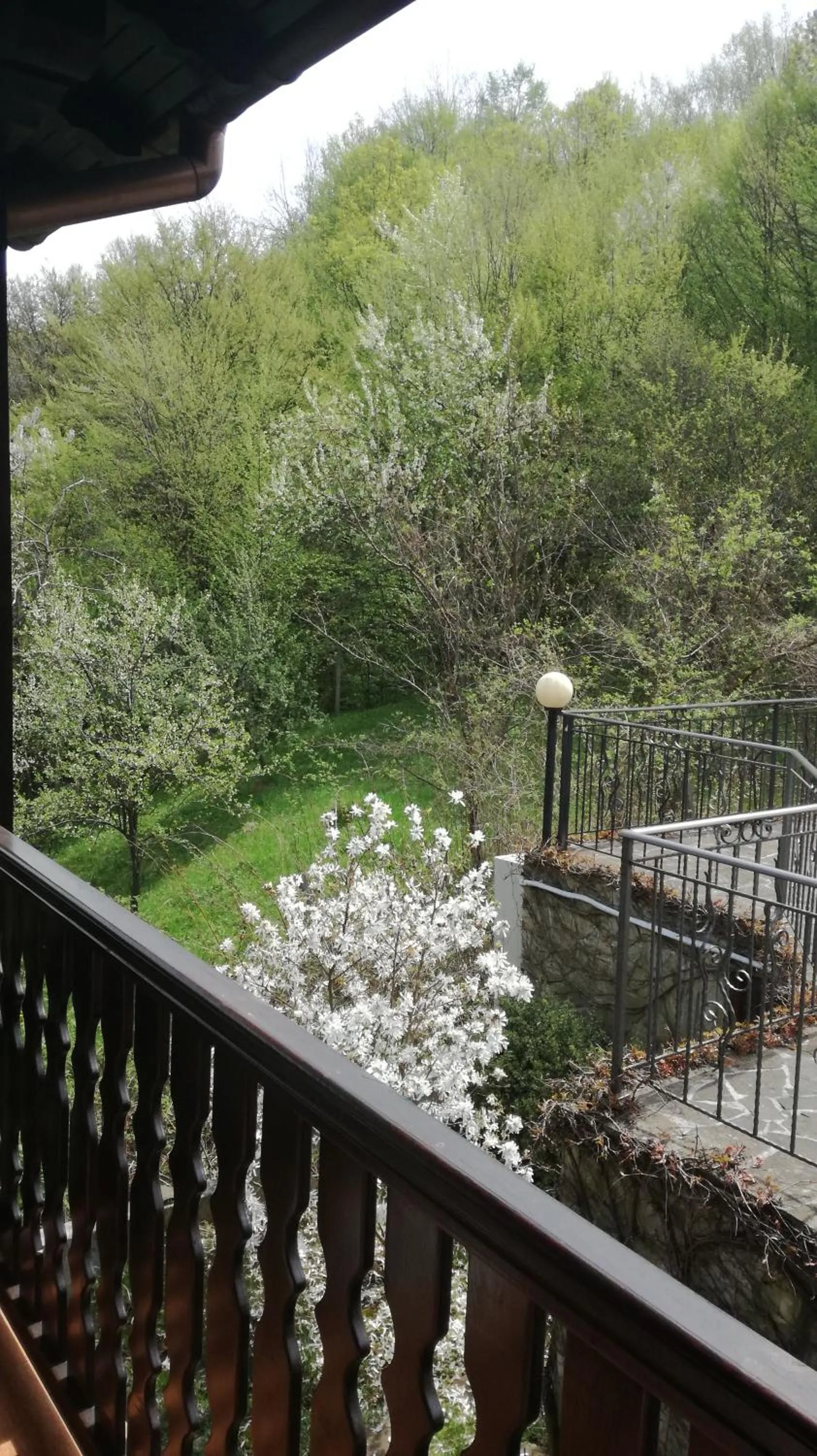 Garden view in Family Hotel Chiflik Hills