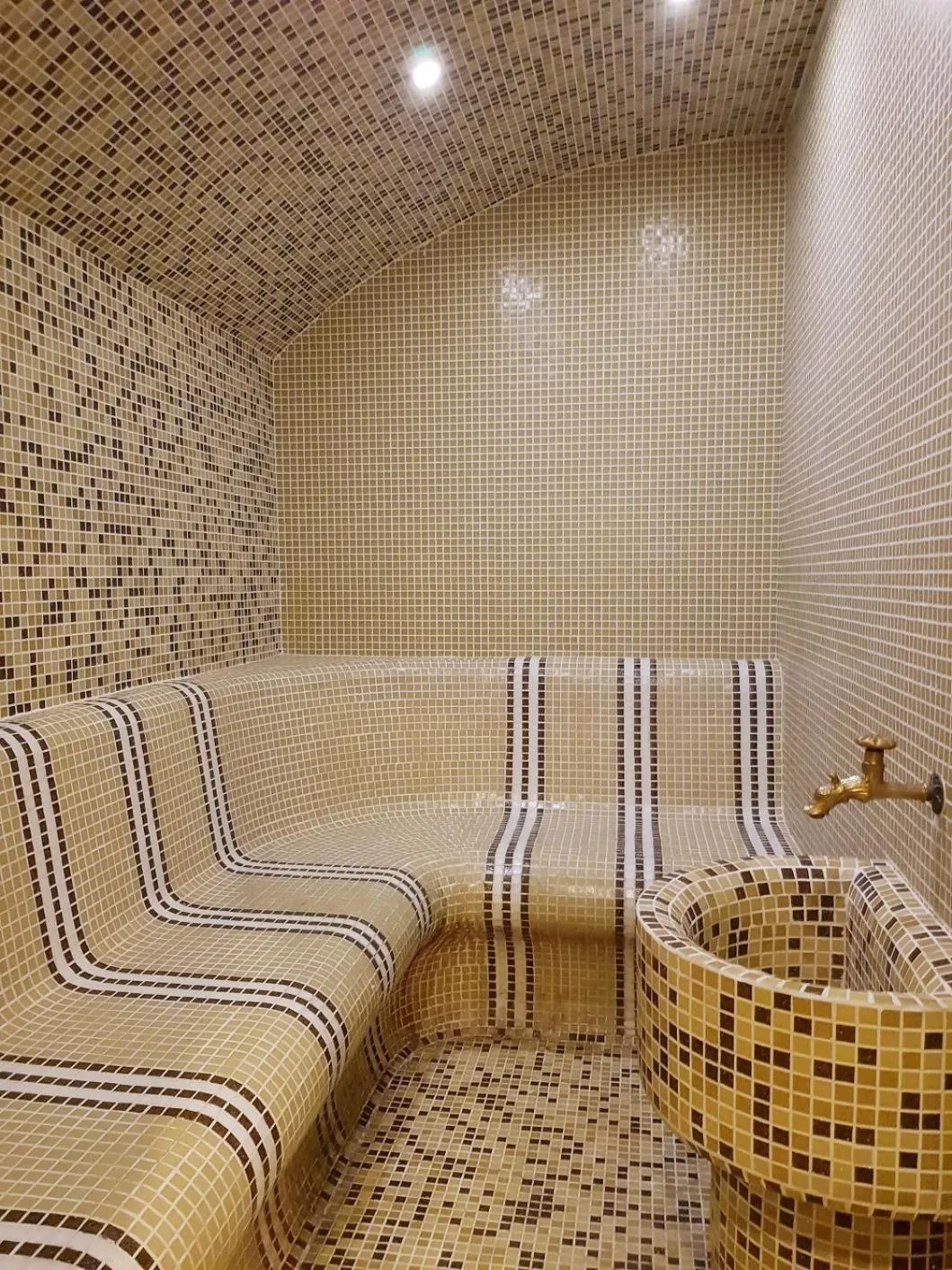 Steam room in Family Hotel Chiflik Hills