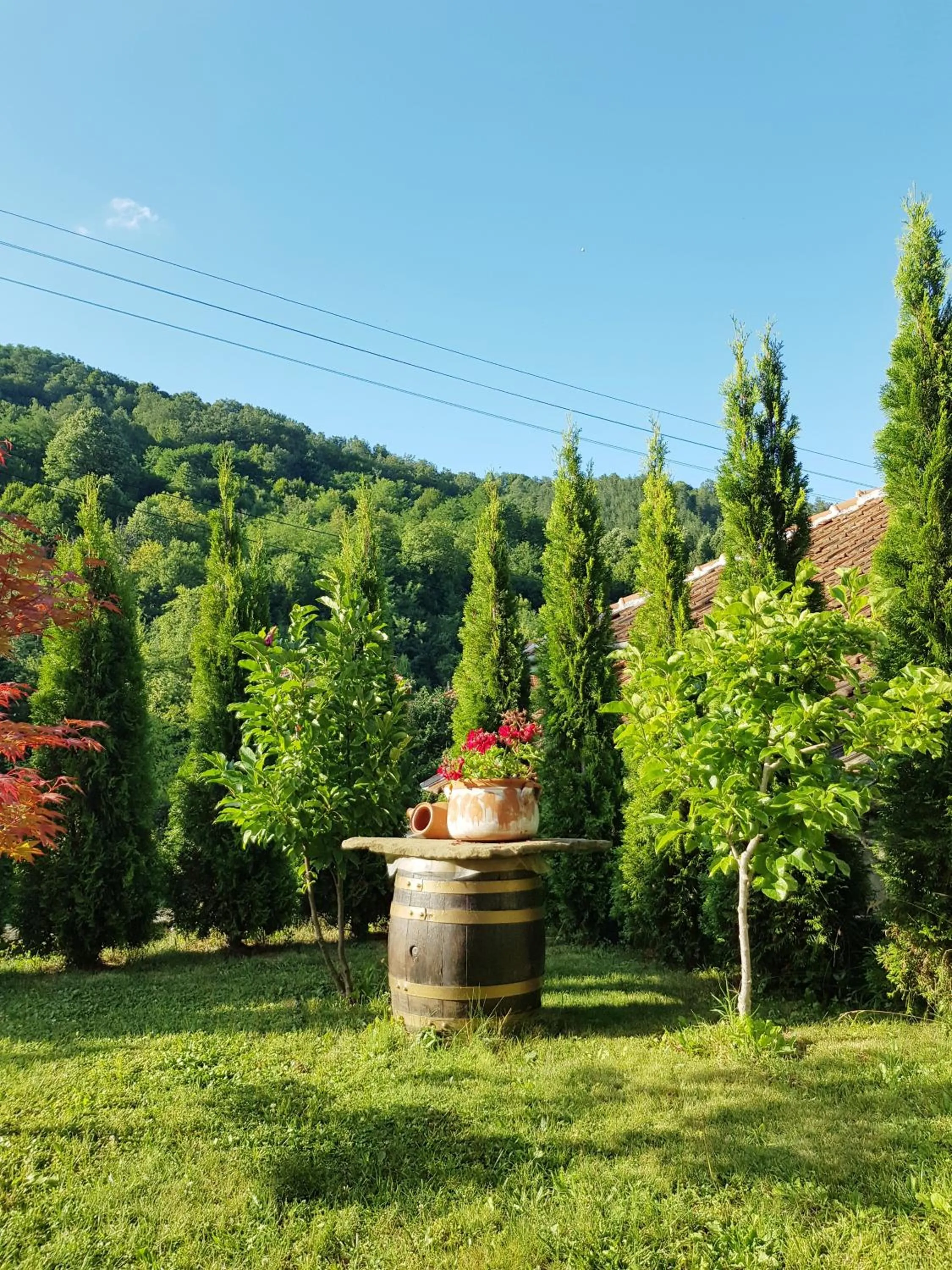 Garden in Family Hotel Chiflik Hills