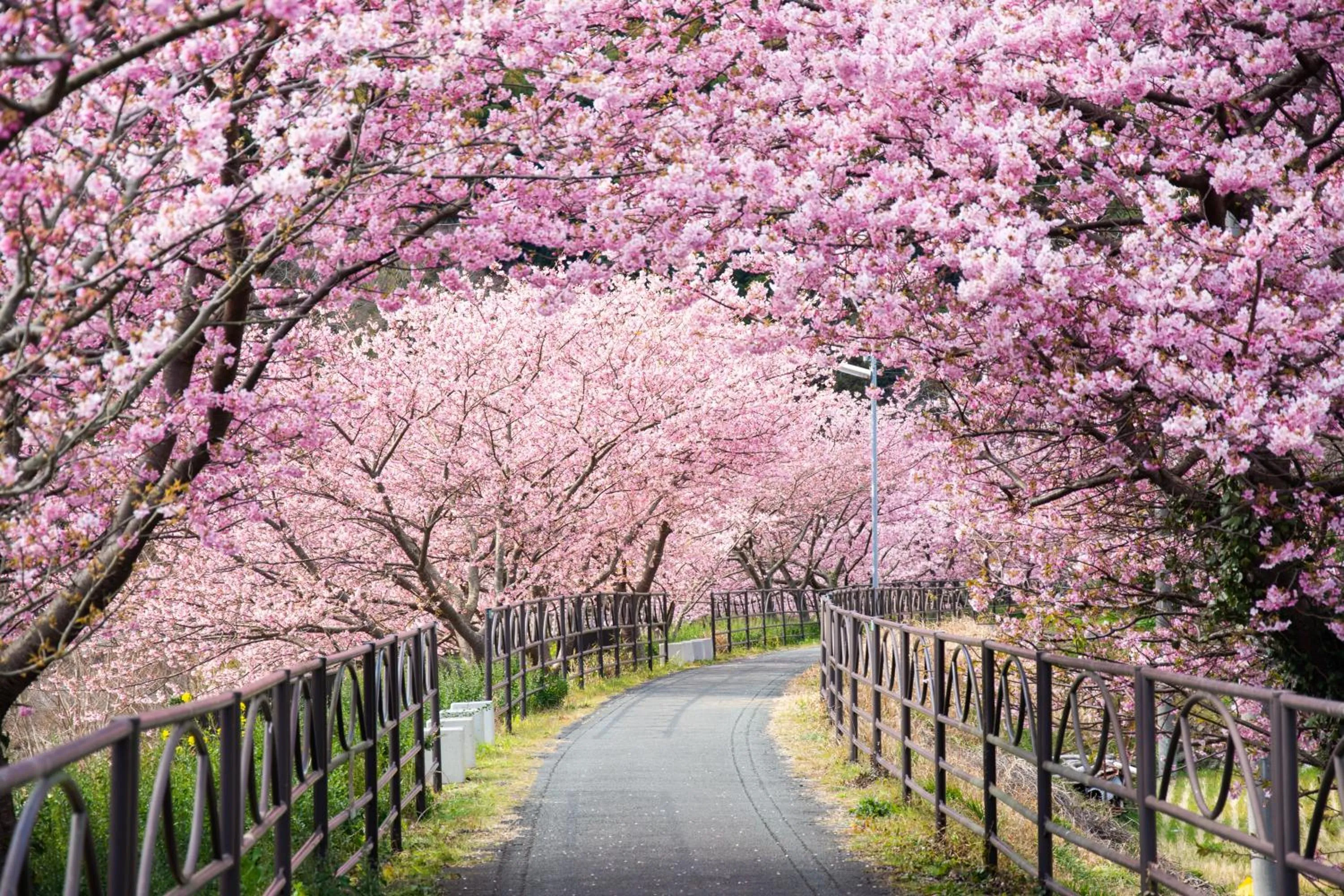 Nearby landmark in Zen no Yu