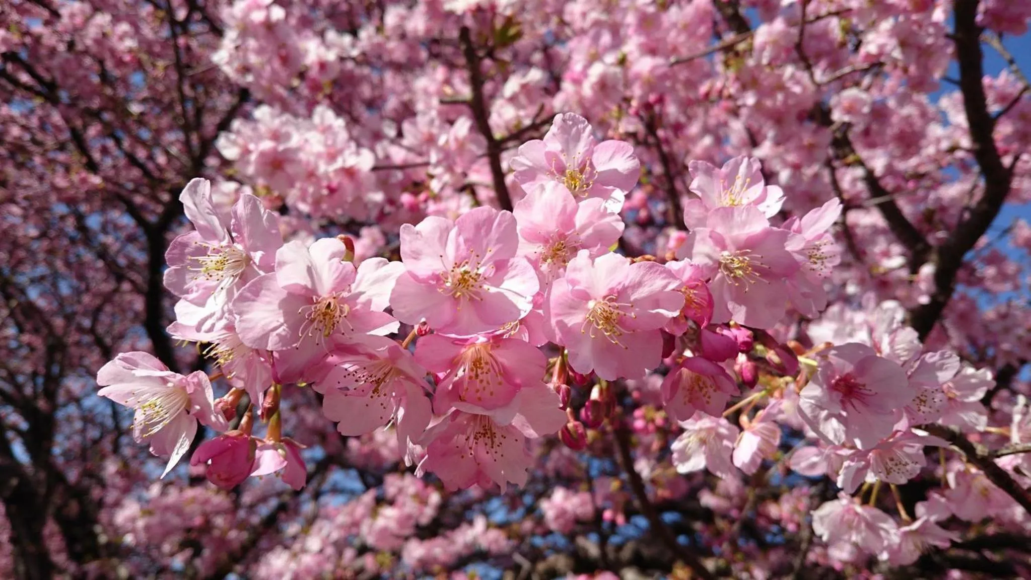 Nearby landmark in Zen no Yu