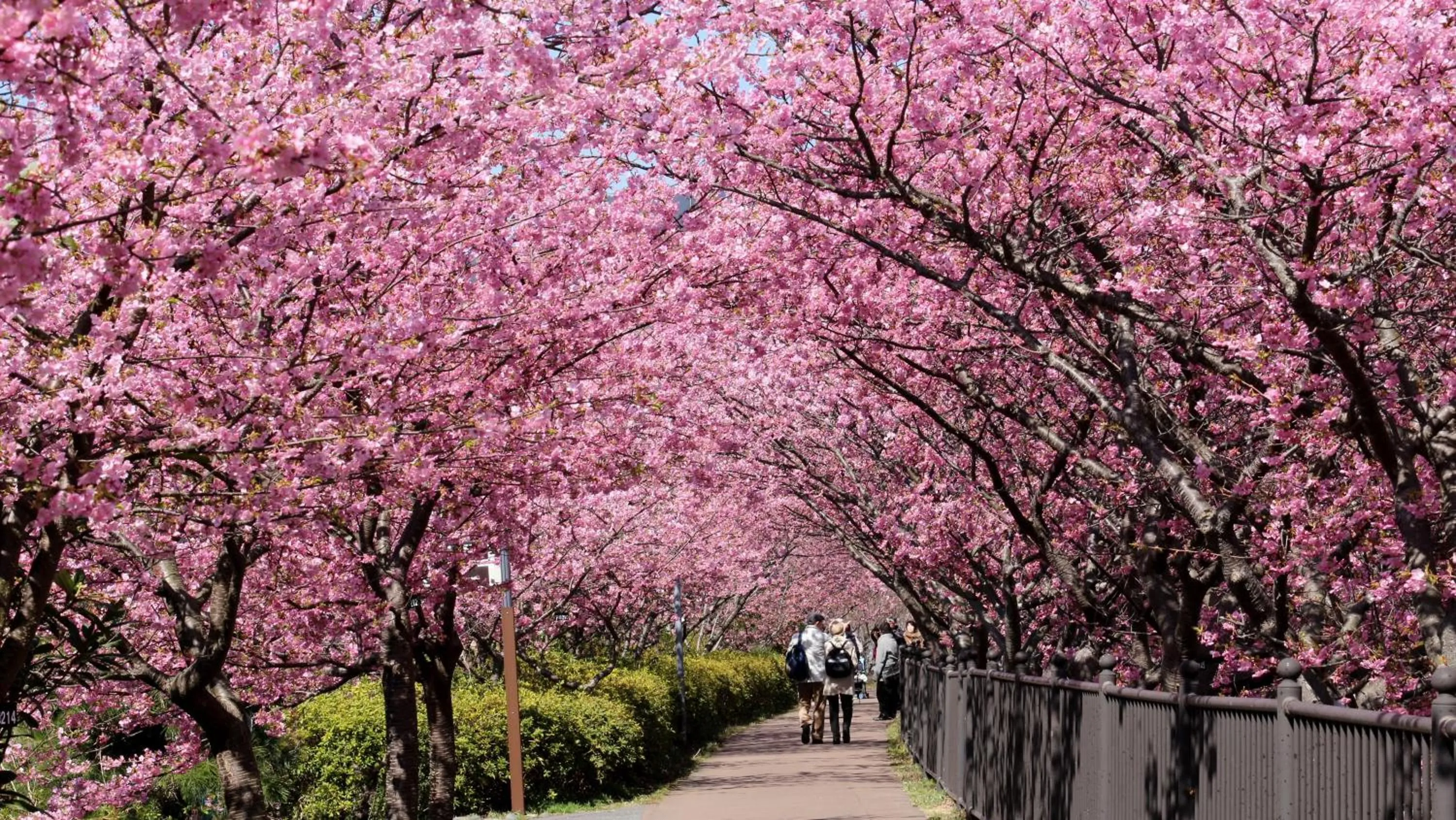 Nearby landmark in Zen no Yu