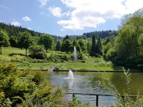 Natural landscape in Hotel Am Kurpark