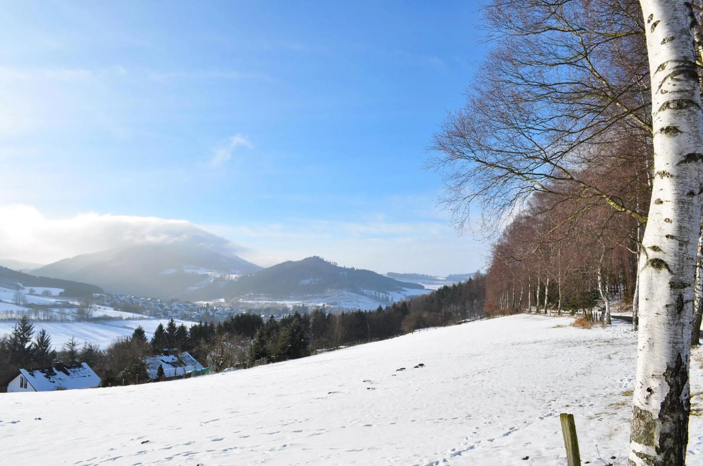 Natural landscape in Hotel Am Kurpark