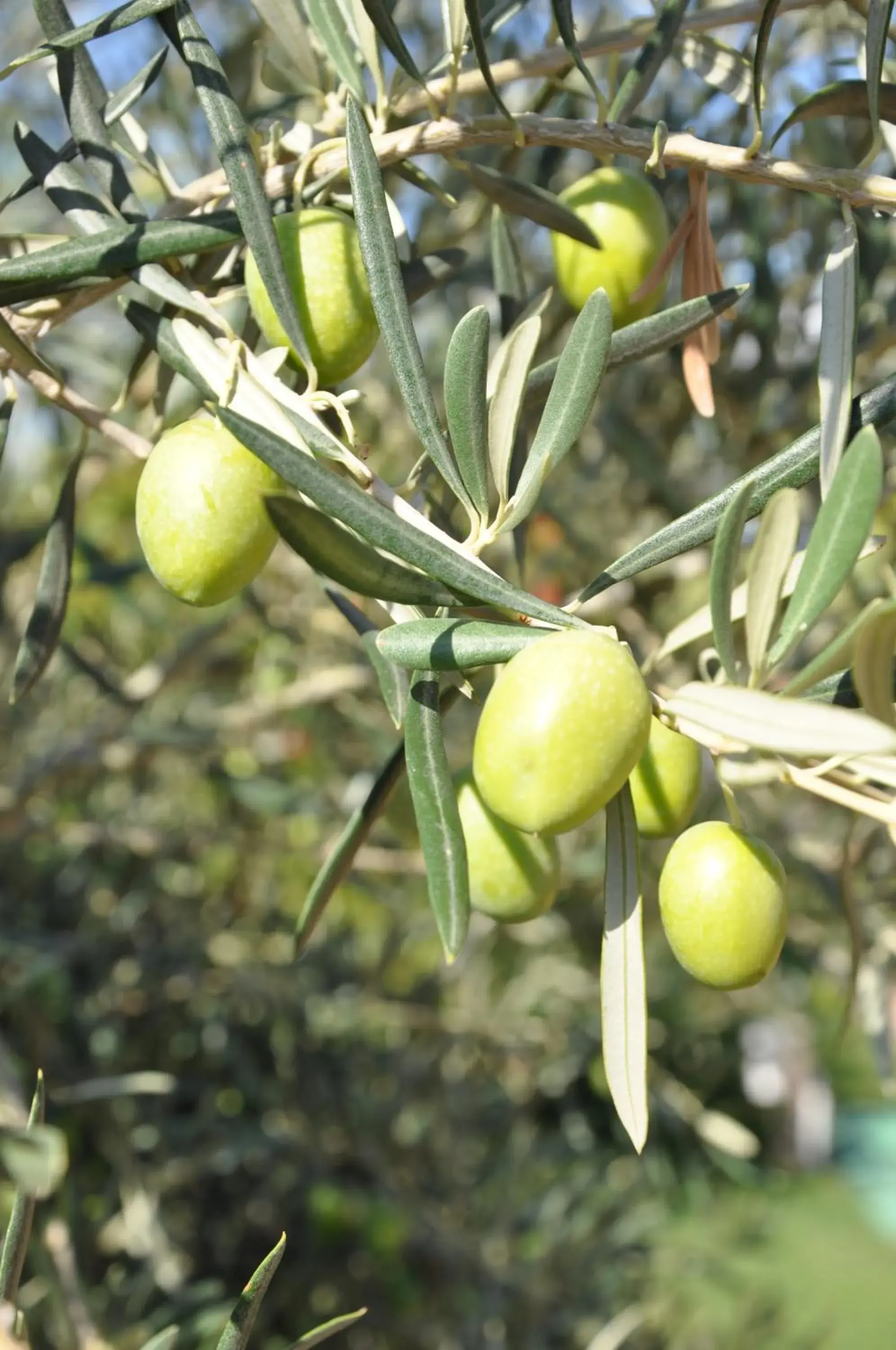 Property building in Hotel Garden Beach Property building in Hotel Garden Beach