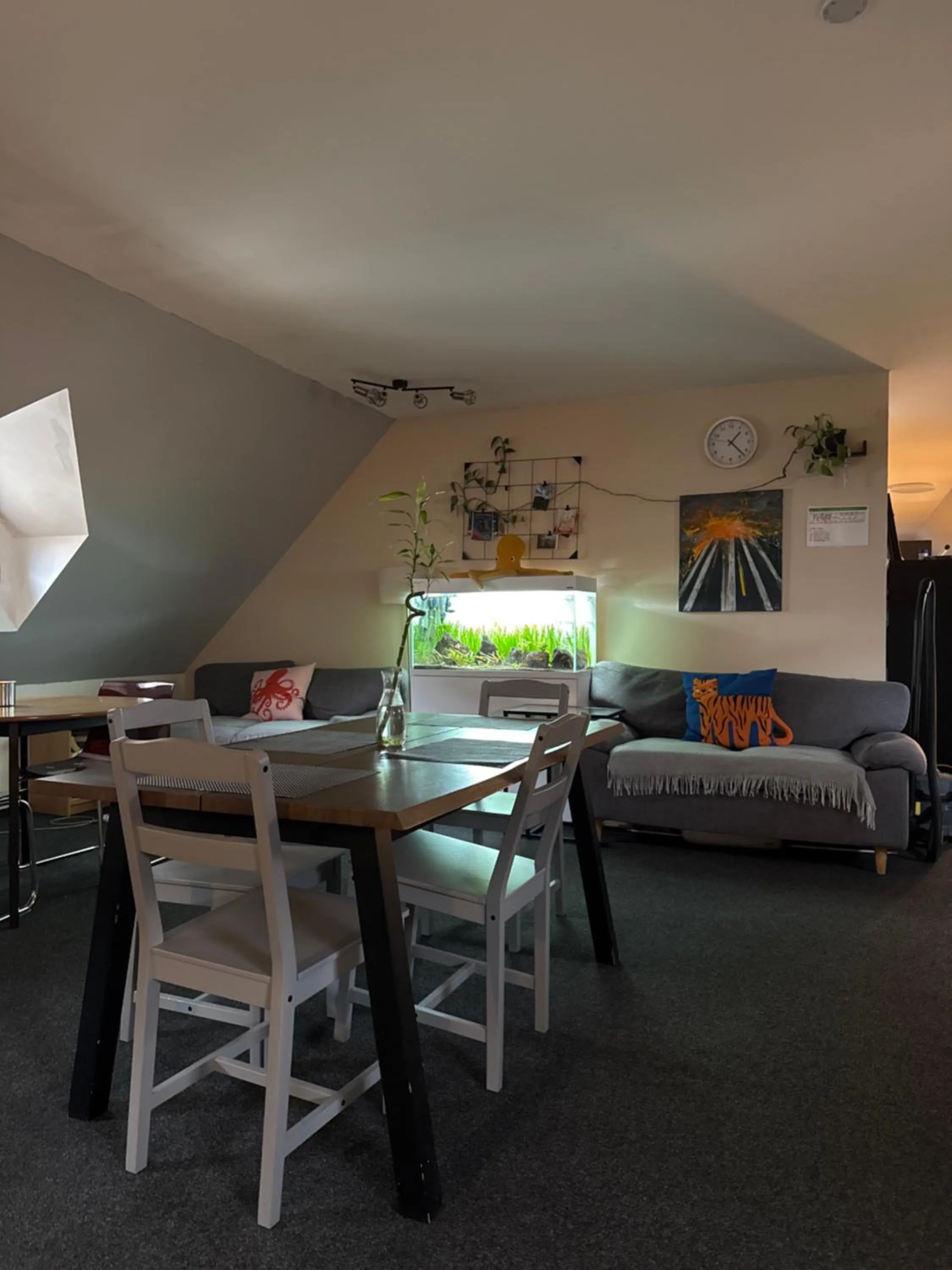 Bed in Hostel John Galt