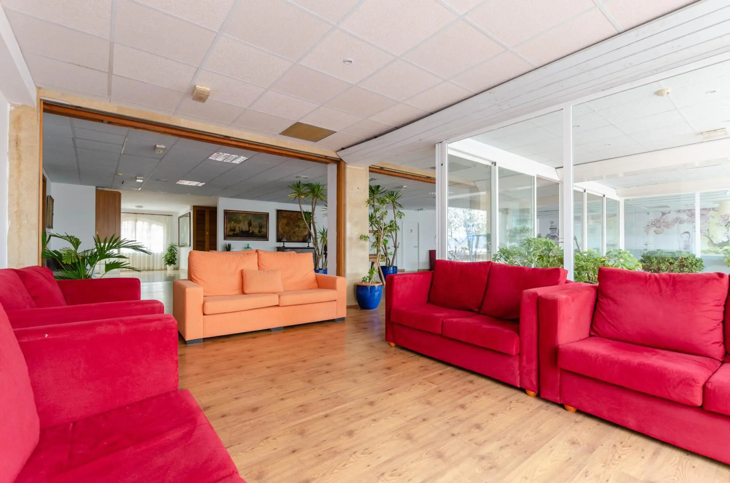 Living room in Sol y Mar Apartments Living room in Sol y Mar Apartments