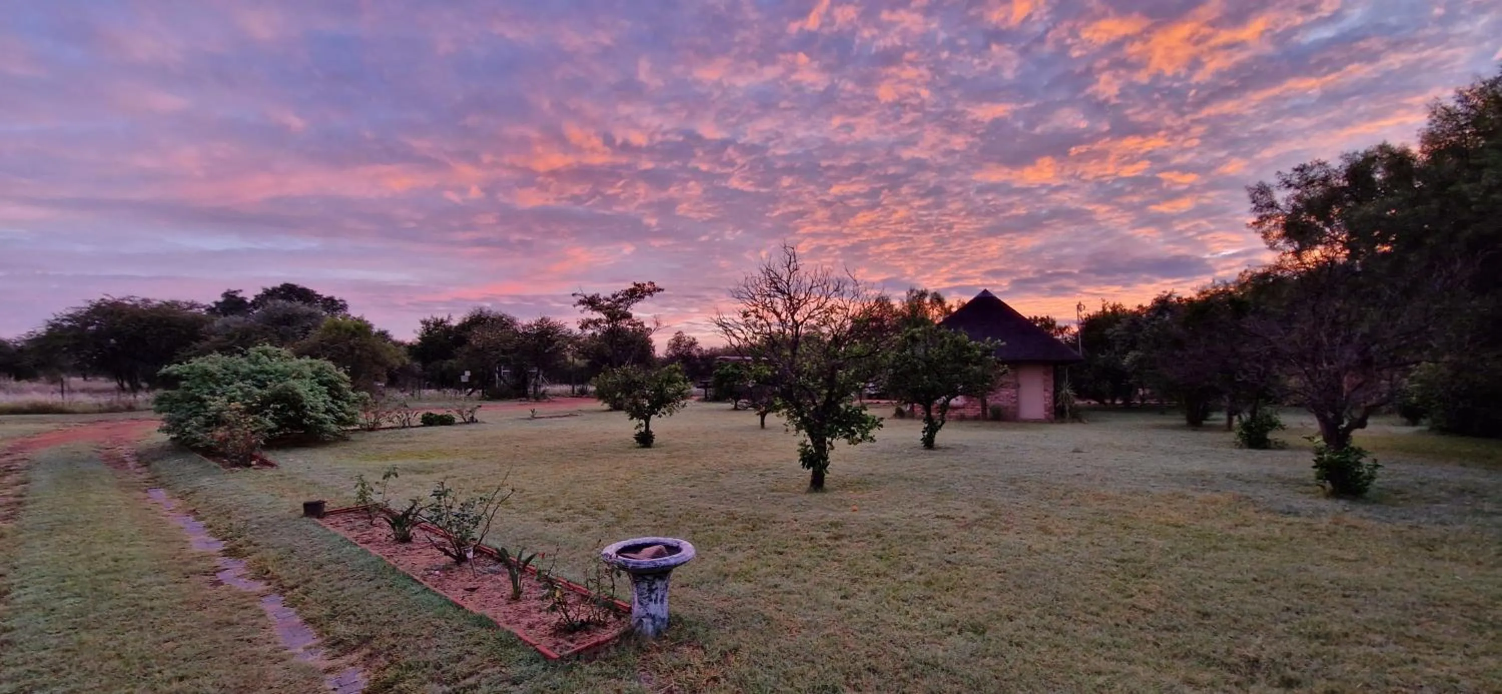 Natural landscape in Tamboti Bush Lodge