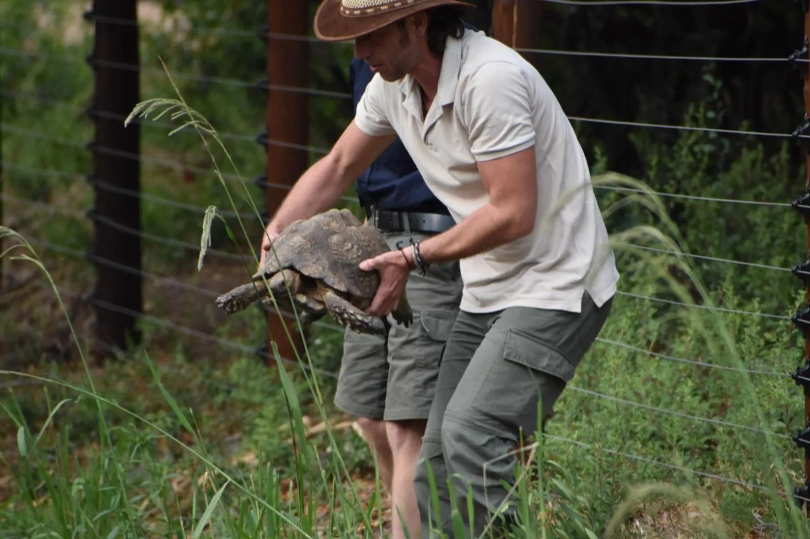Natural landscape in Tamboti Bush Lodge